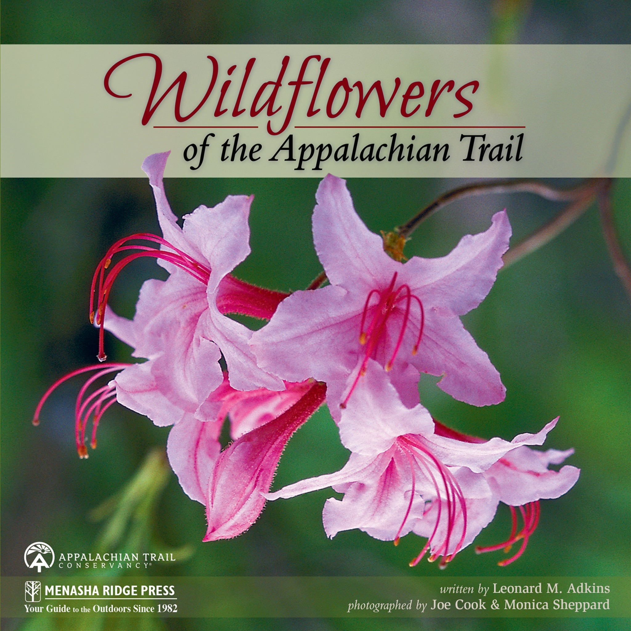 Cover image for Wildflowers of the Appalachian Trail ISBN 9781634040907
