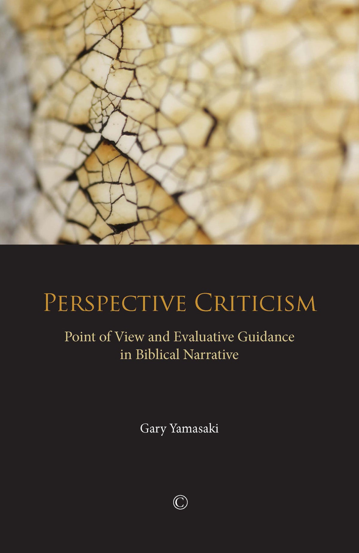 Cover image for Perspective Criticism ISBN 9780227173992