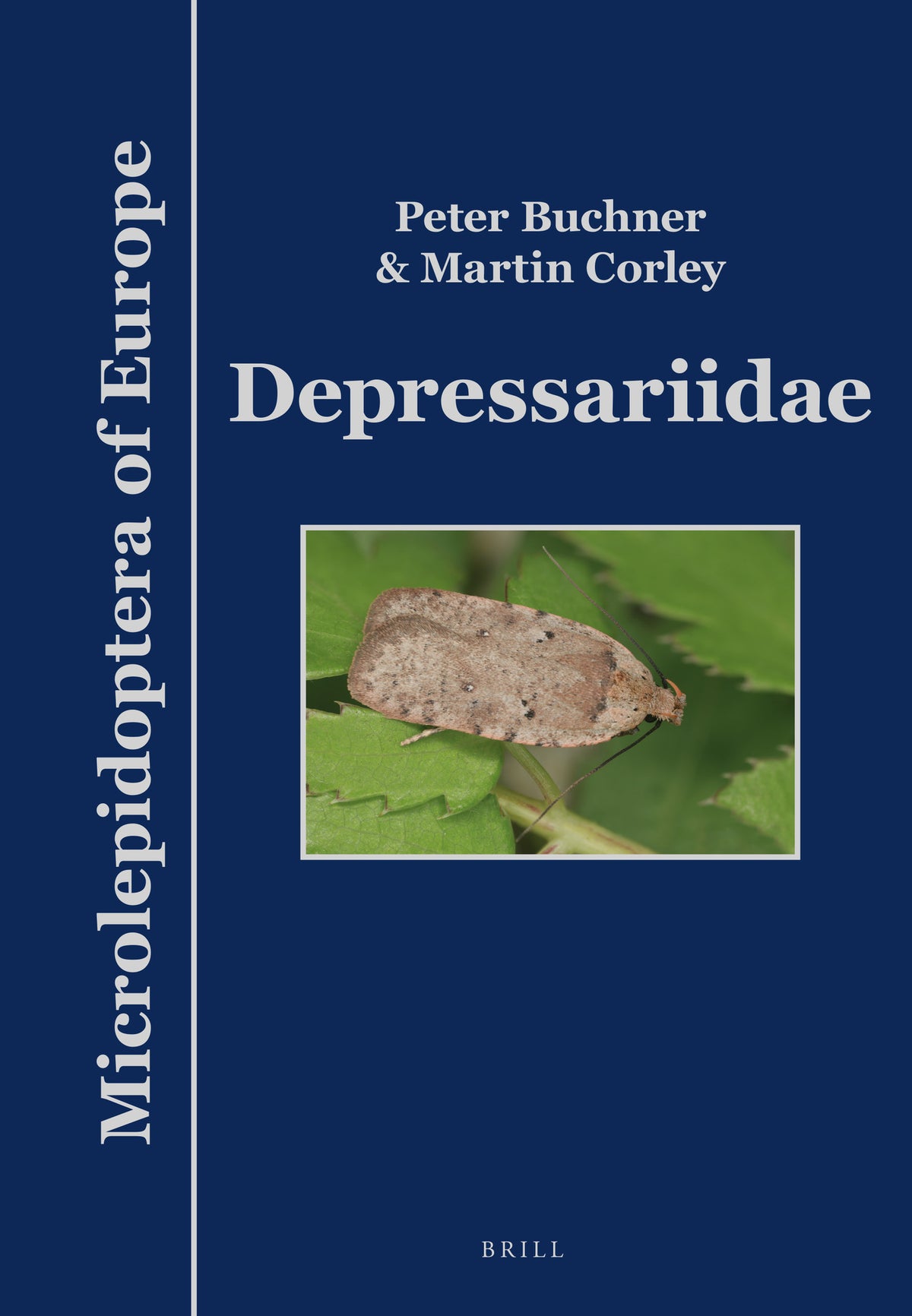 Cover image for Depressariidae ISBN 9789004412729