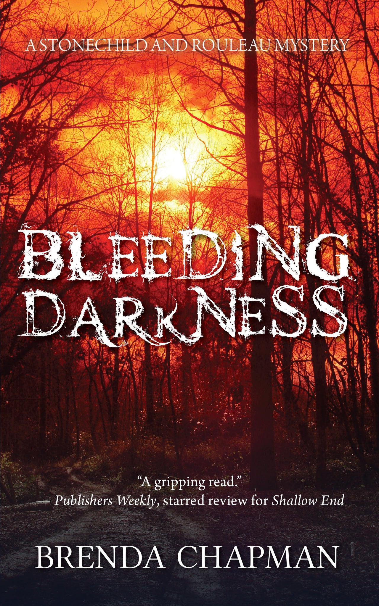 Cover image for Bleeding Darkness ISBN 9781459740044