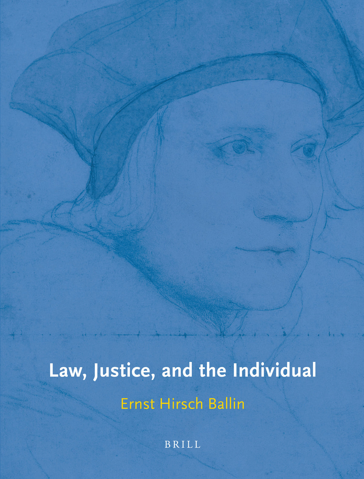 Cover image for Law, Justice, and the Individual ISBN 9789004223387