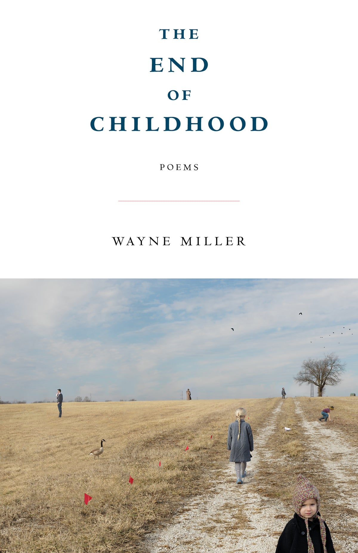 Cover image for The End of Childhood ISBN 9781571315663