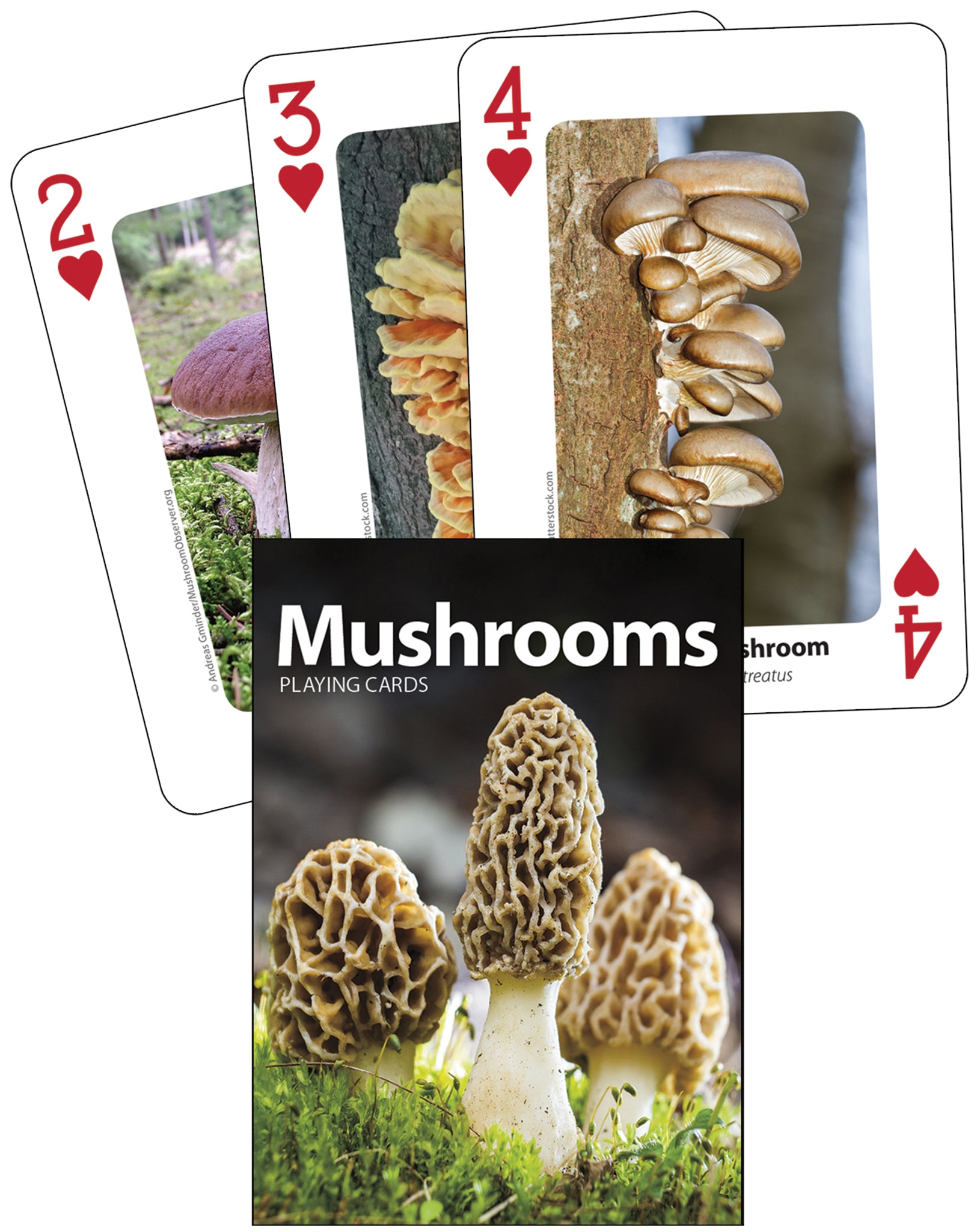 Cover image for Mushrooms Playing Cards ISBN 9781647550493
