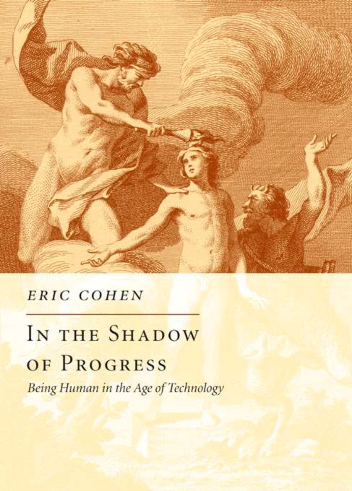 Cover image for In the Shadow of Progress ISBN 9781594032080