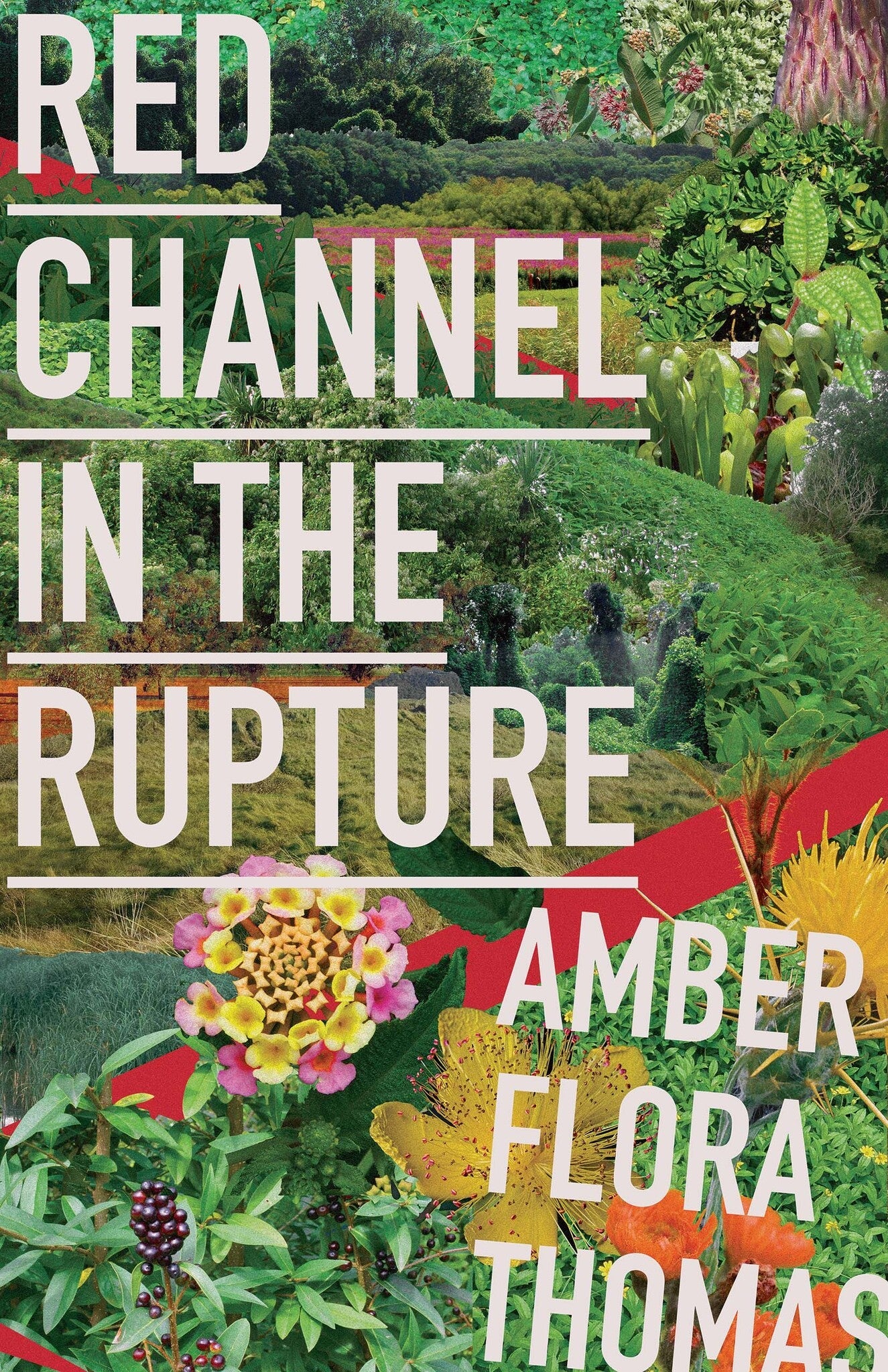 Cover image for Red Channel in the Rupture ISBN 9781597096201