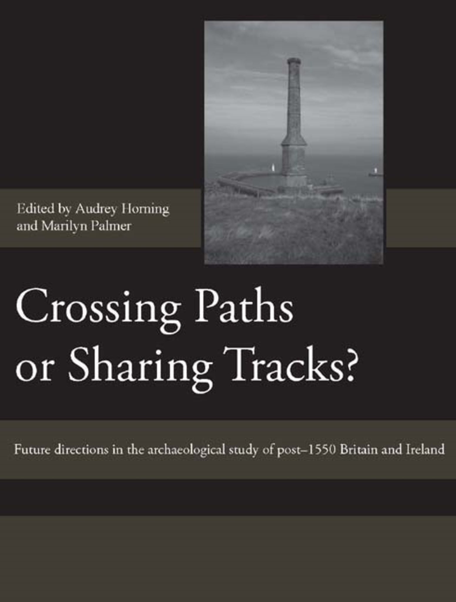 Cover image for Crossing Paths or Sharing Tracks? ISBN 9781843834342
