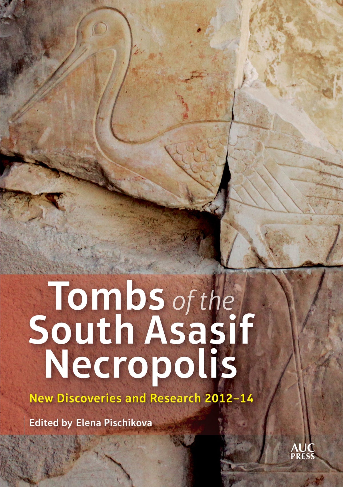 Cover image for Tombs of the South Asasif Necropolis: ISBN 9781617975707