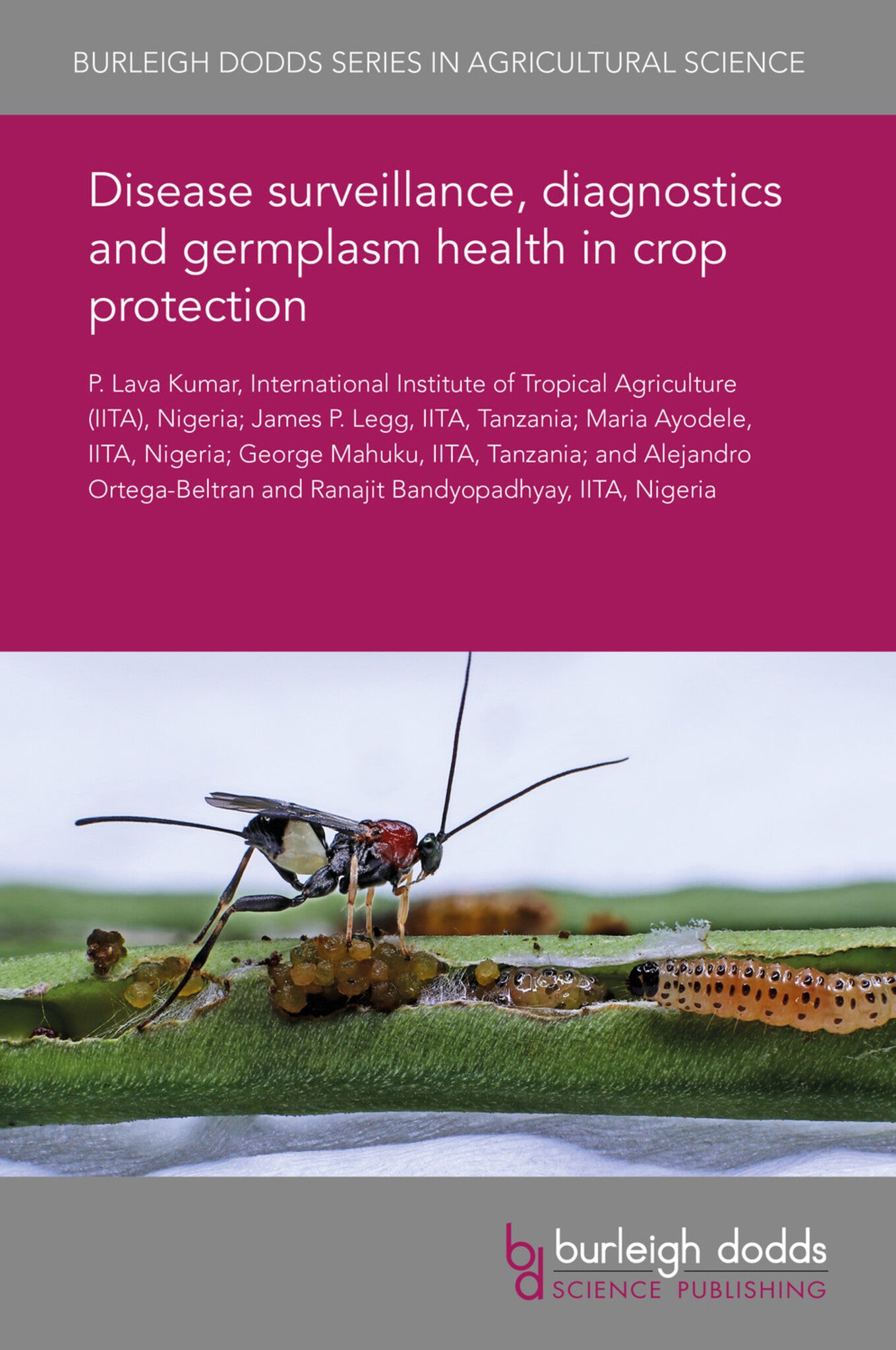 Cover image for Disease surveillance, diagnostics and germplasm health in crop protection ISBN 9781838797515