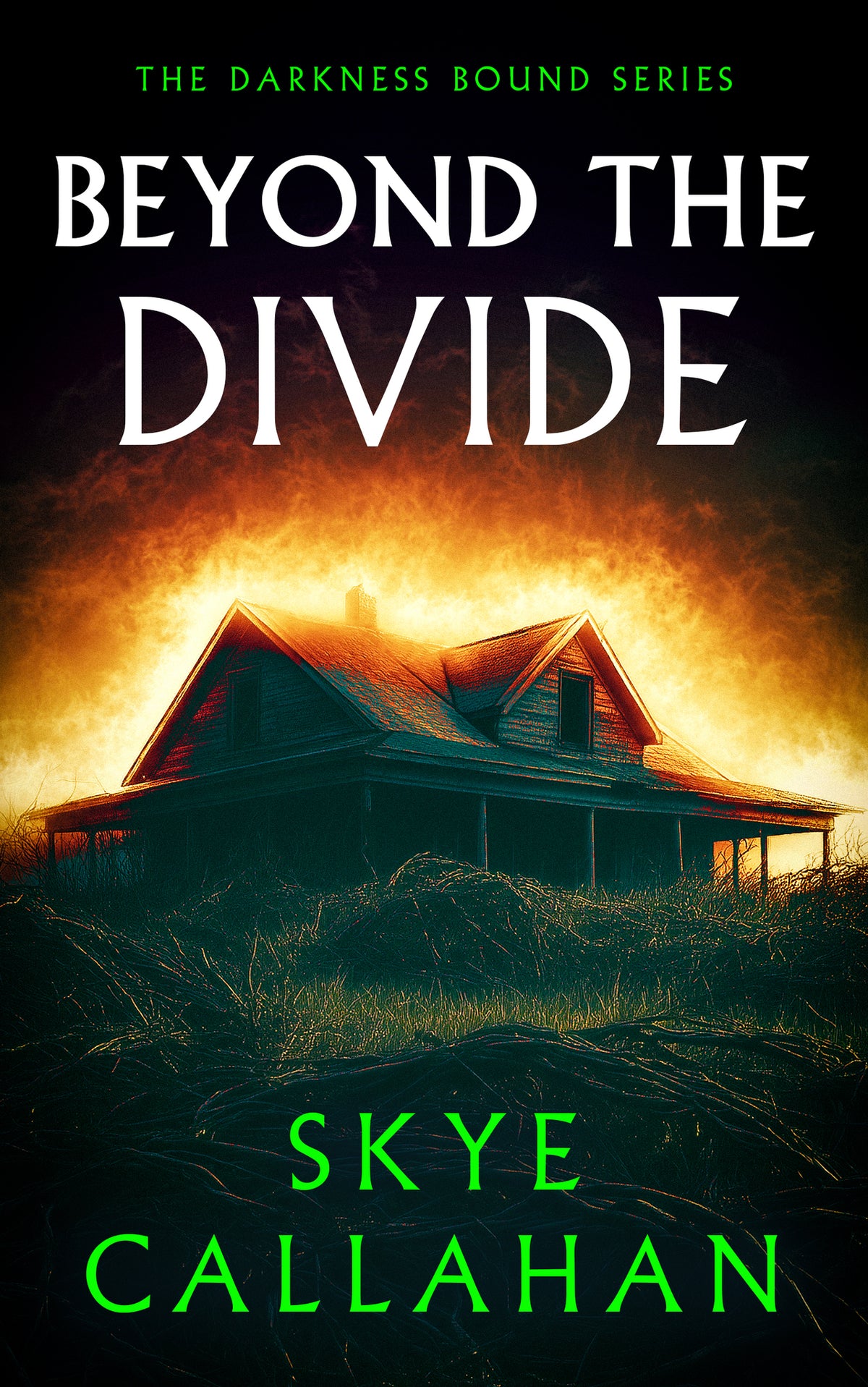 Beyond the Divide