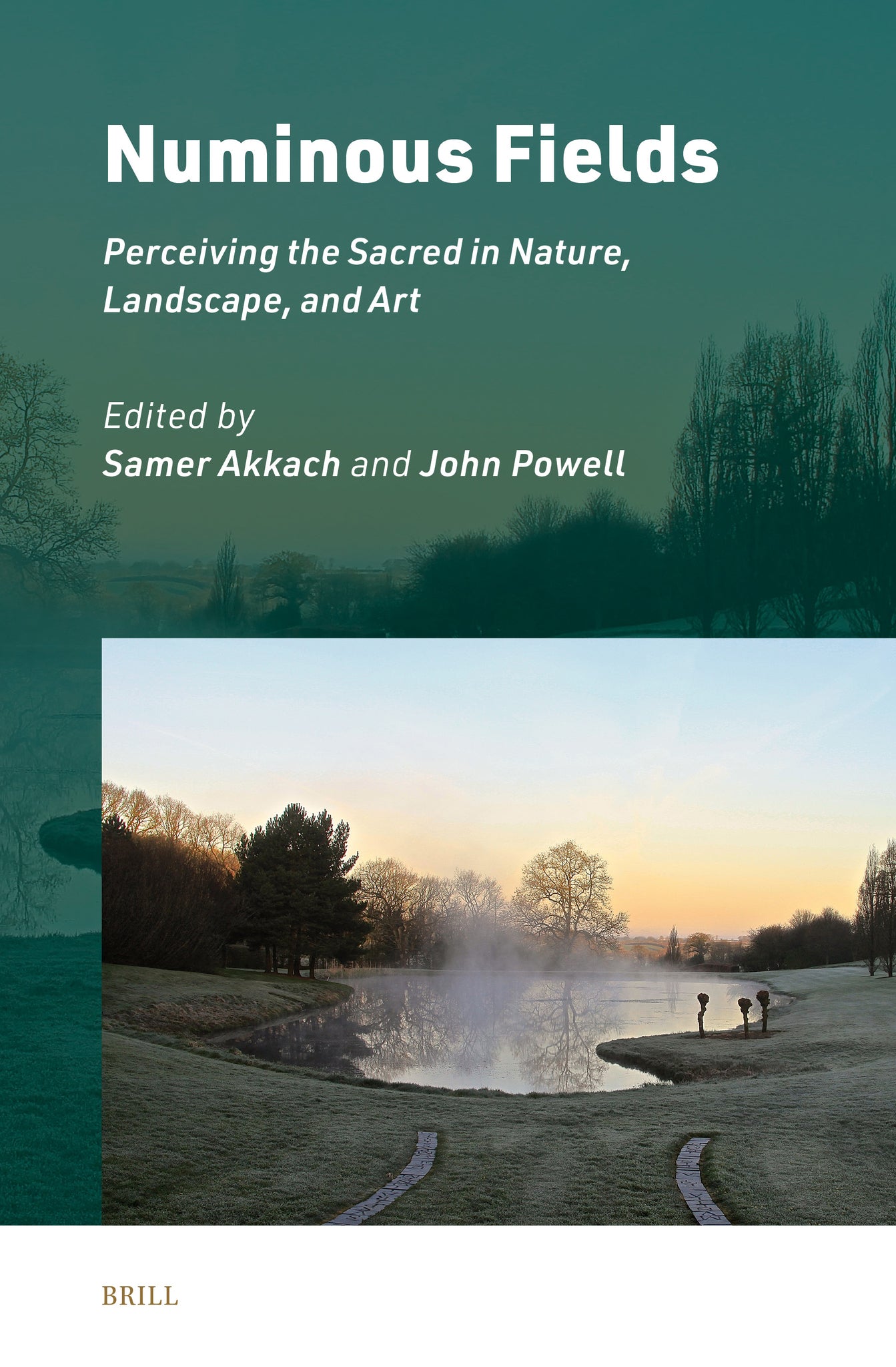 Cover image for Numinous Fields: Perceiving the Sacred in Nature, Landscape, and Art ISBN 9789004687370