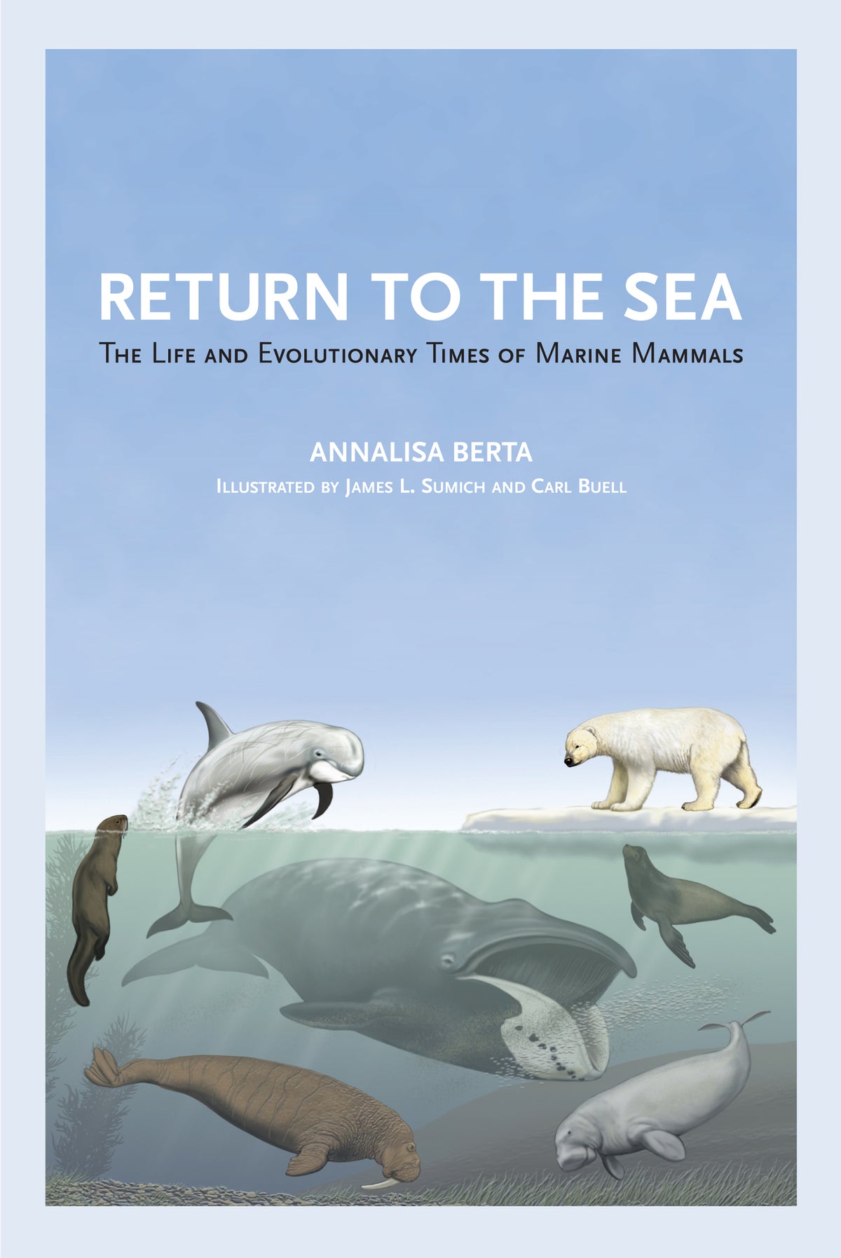 Cover image for Return to the Sea ISBN 9780520355521