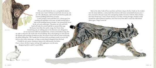 The Artist's Field Guide to Yellowstone