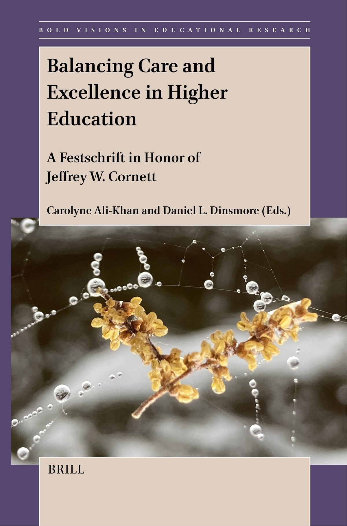 Cover image for Balancing Care and Excellence in Higher Education ISBN 9789004693005