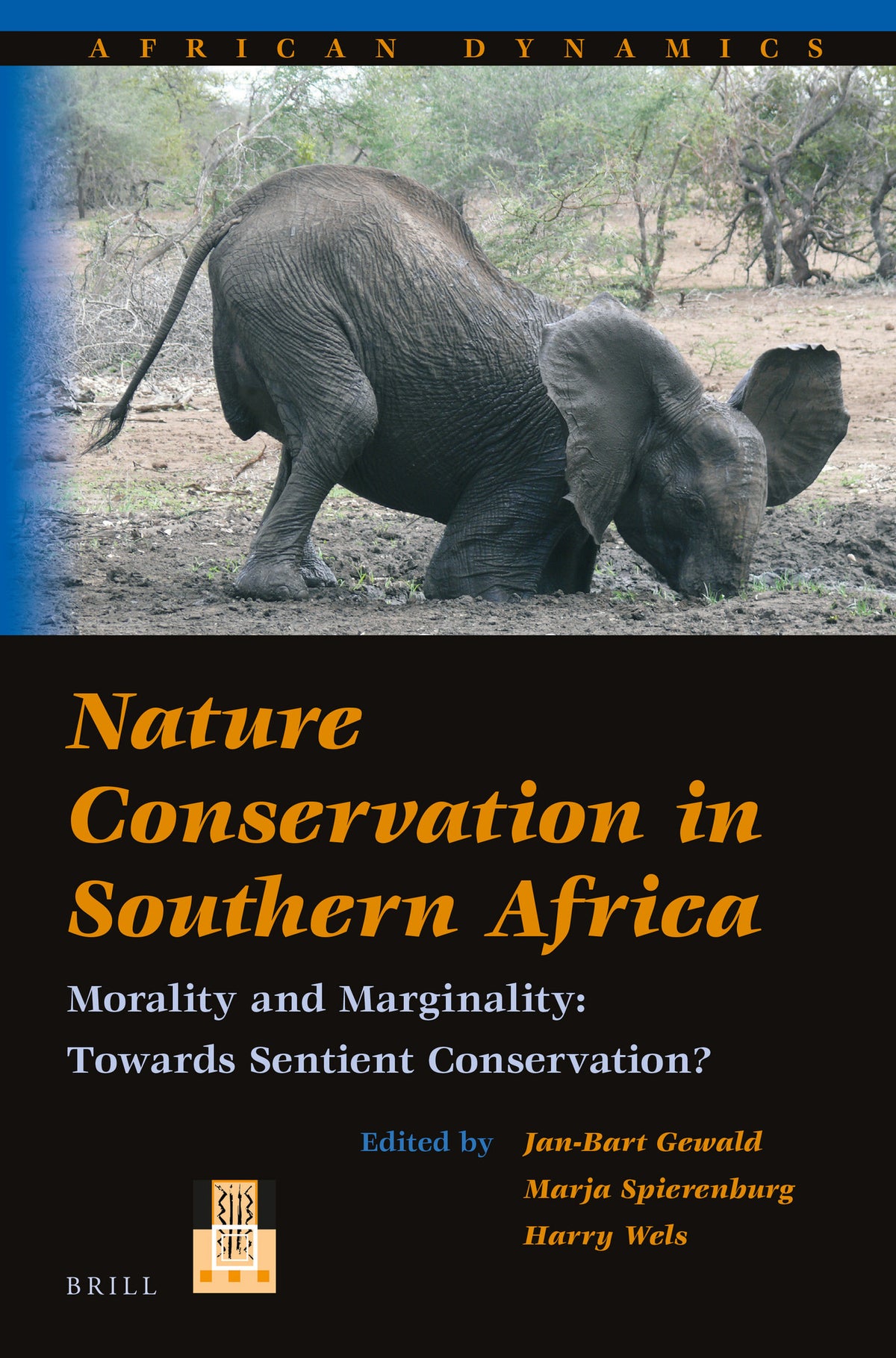 Cover image for Nature Conservation in Southern Africa ISBN 9789004381001