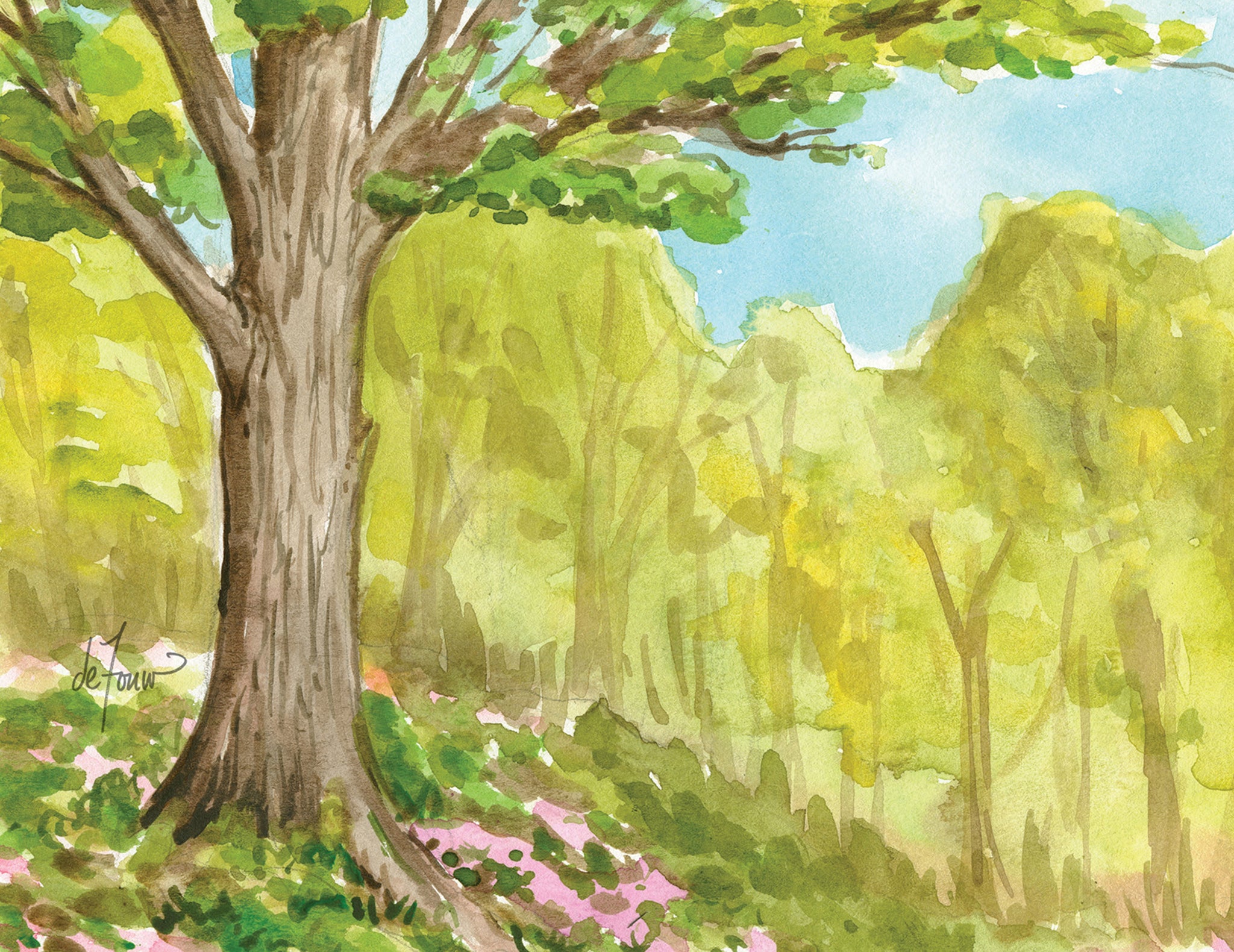 The Seasons Boxed Notecard Assortment