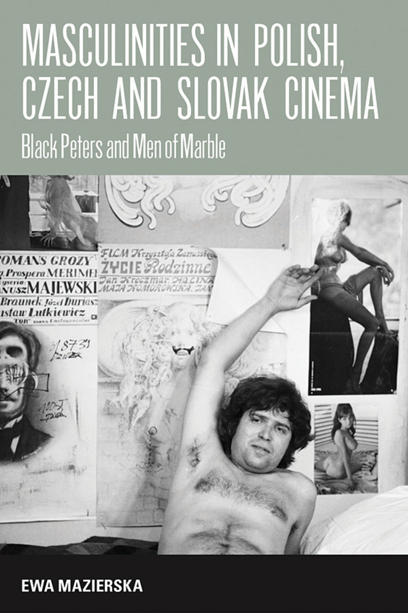 Cover image for Masculinities in Polish, Czech and Slovak Cinema ISBN 9781782382164