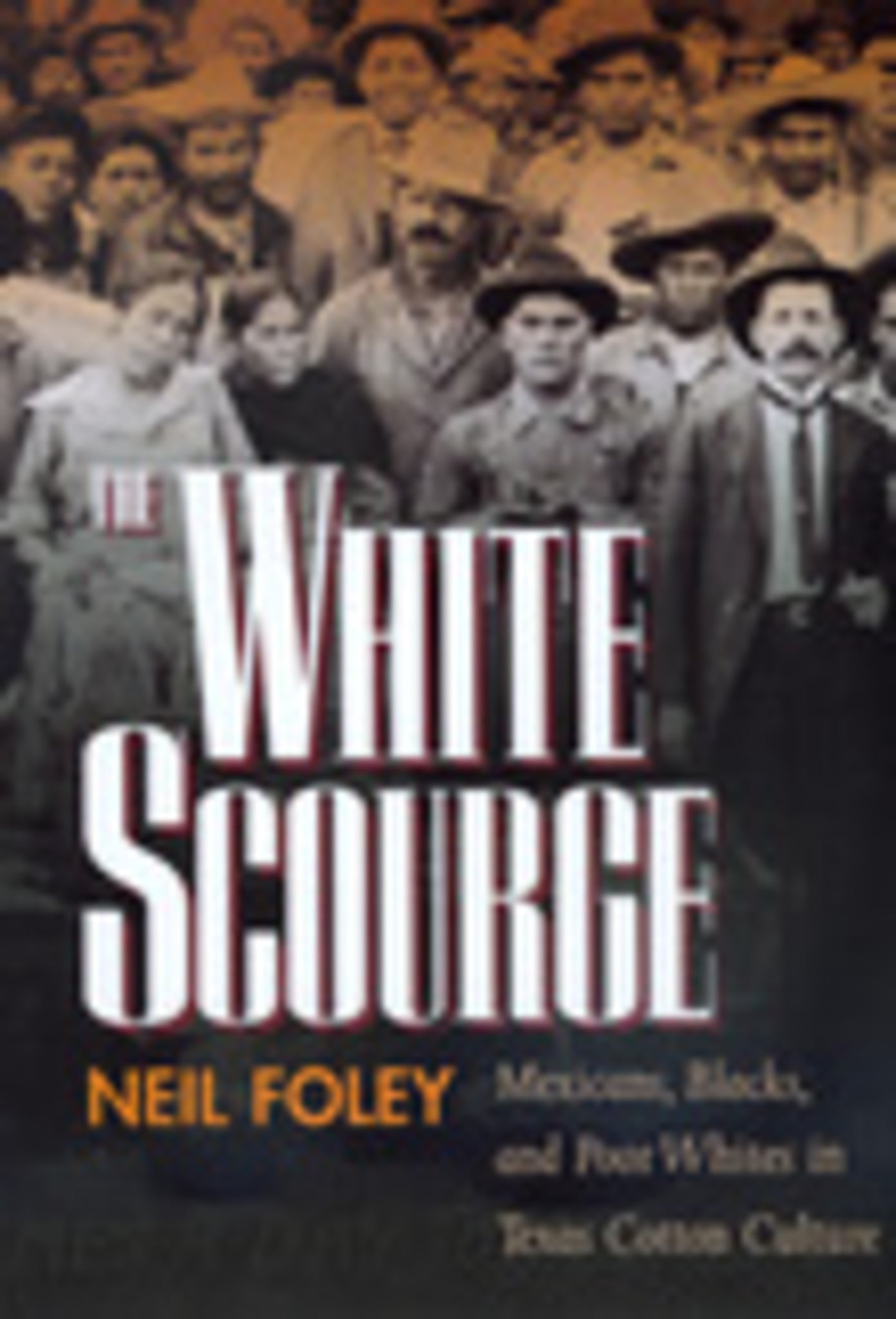 Cover image for The White Scourge ISBN 9780520918528