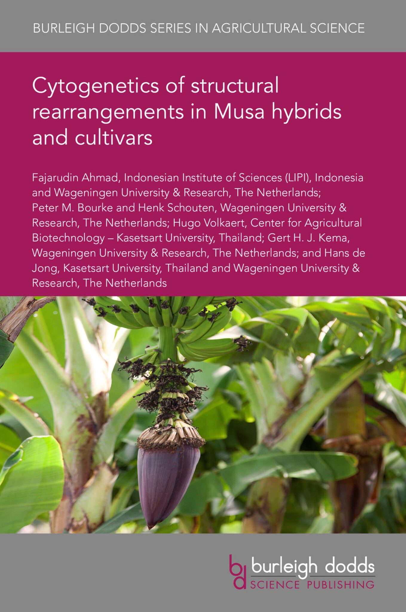 Cover image for Cytogenetics of structural rearrangements in Musa hybrids and cultivars ISBN 9781786769374
