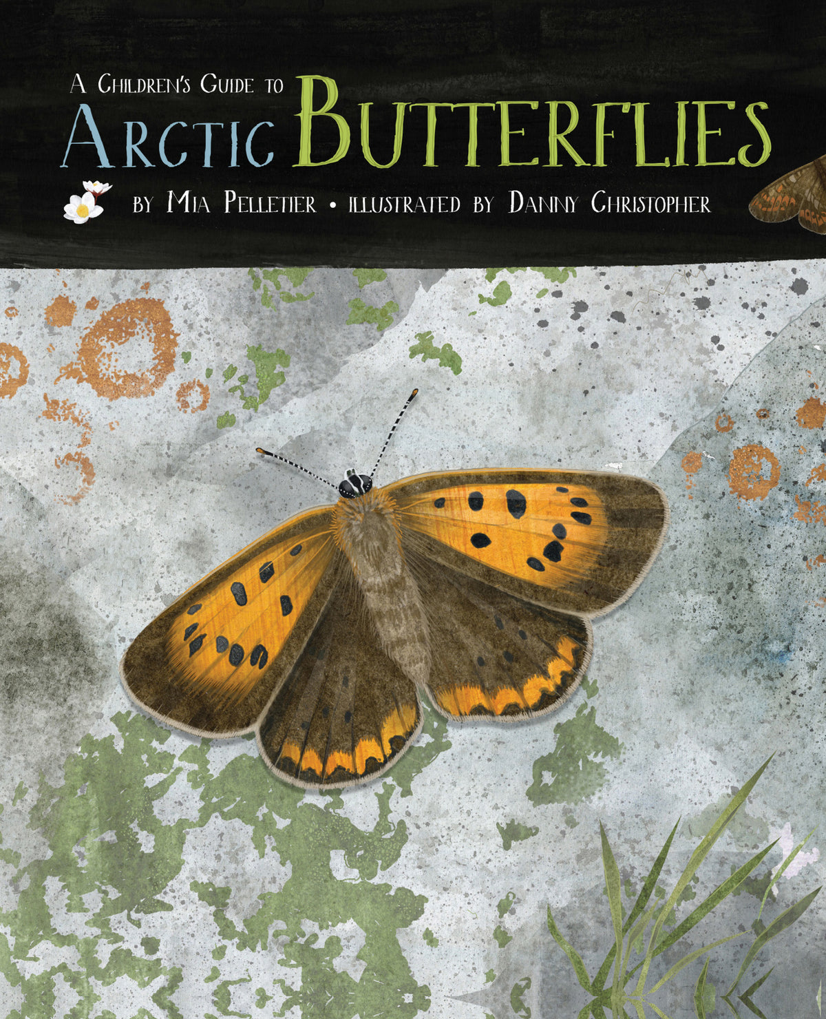 Cover image for A Children's Guide to Arctic Butterflies ISBN 9781772271775