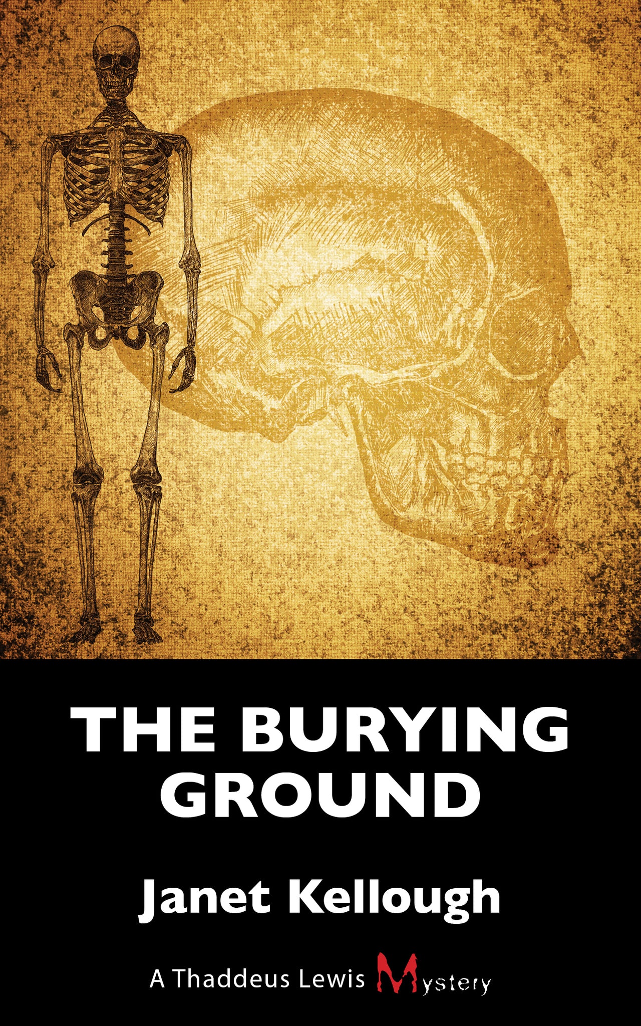 Cover image for The Burying Ground ISBN 9781459724709