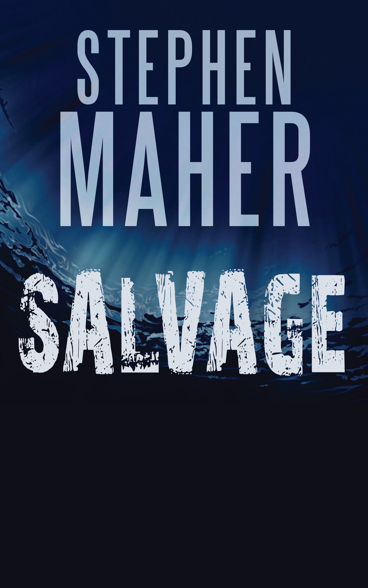 Cover image for Salvage ISBN 9781459734517