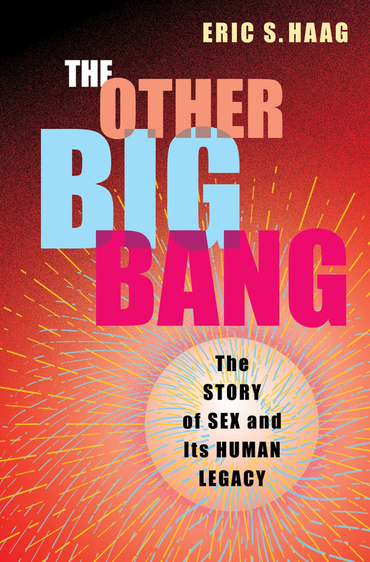 The Other Big Bang