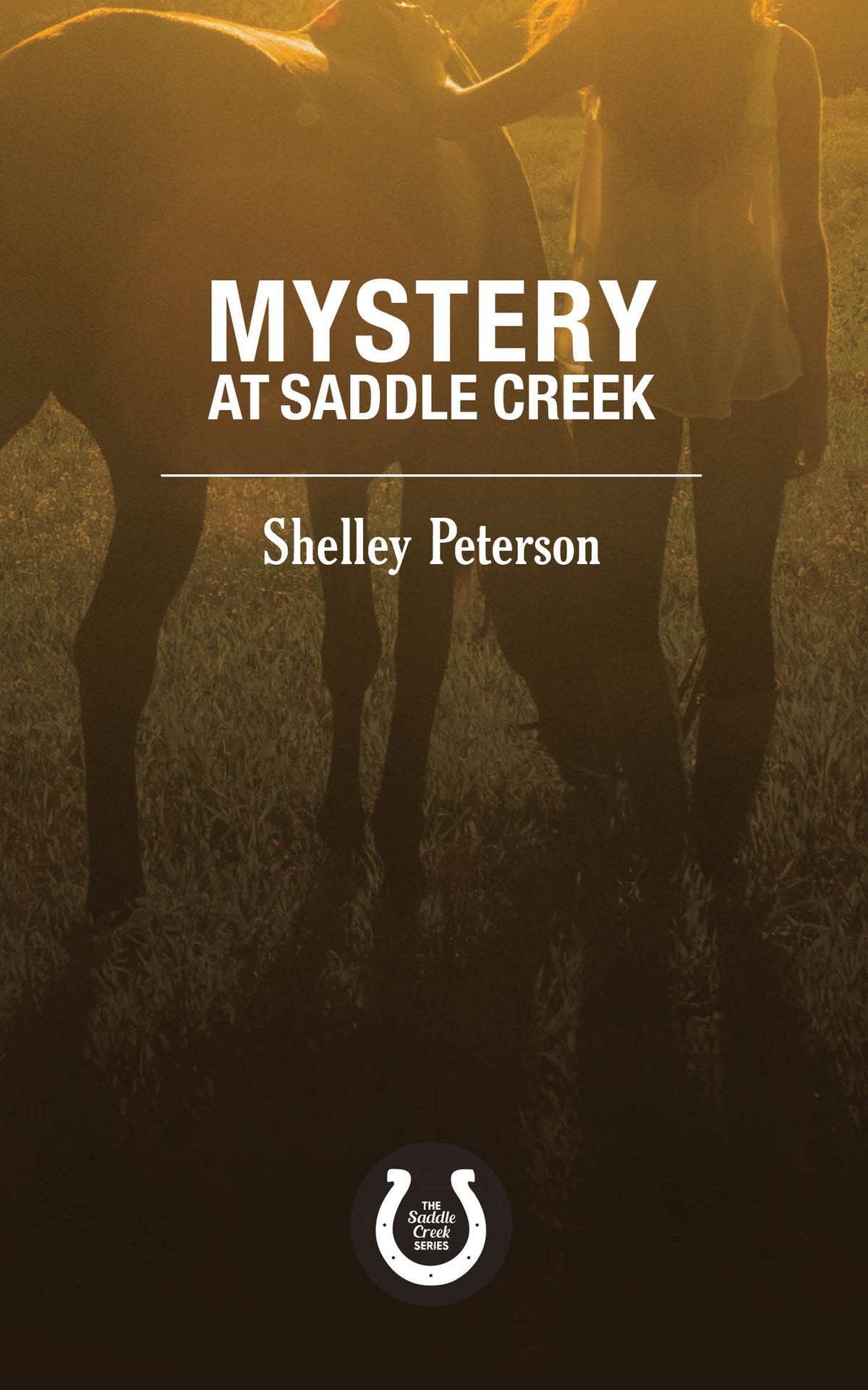Cover image for Mystery at Saddle Creek ISBN 9781459739512