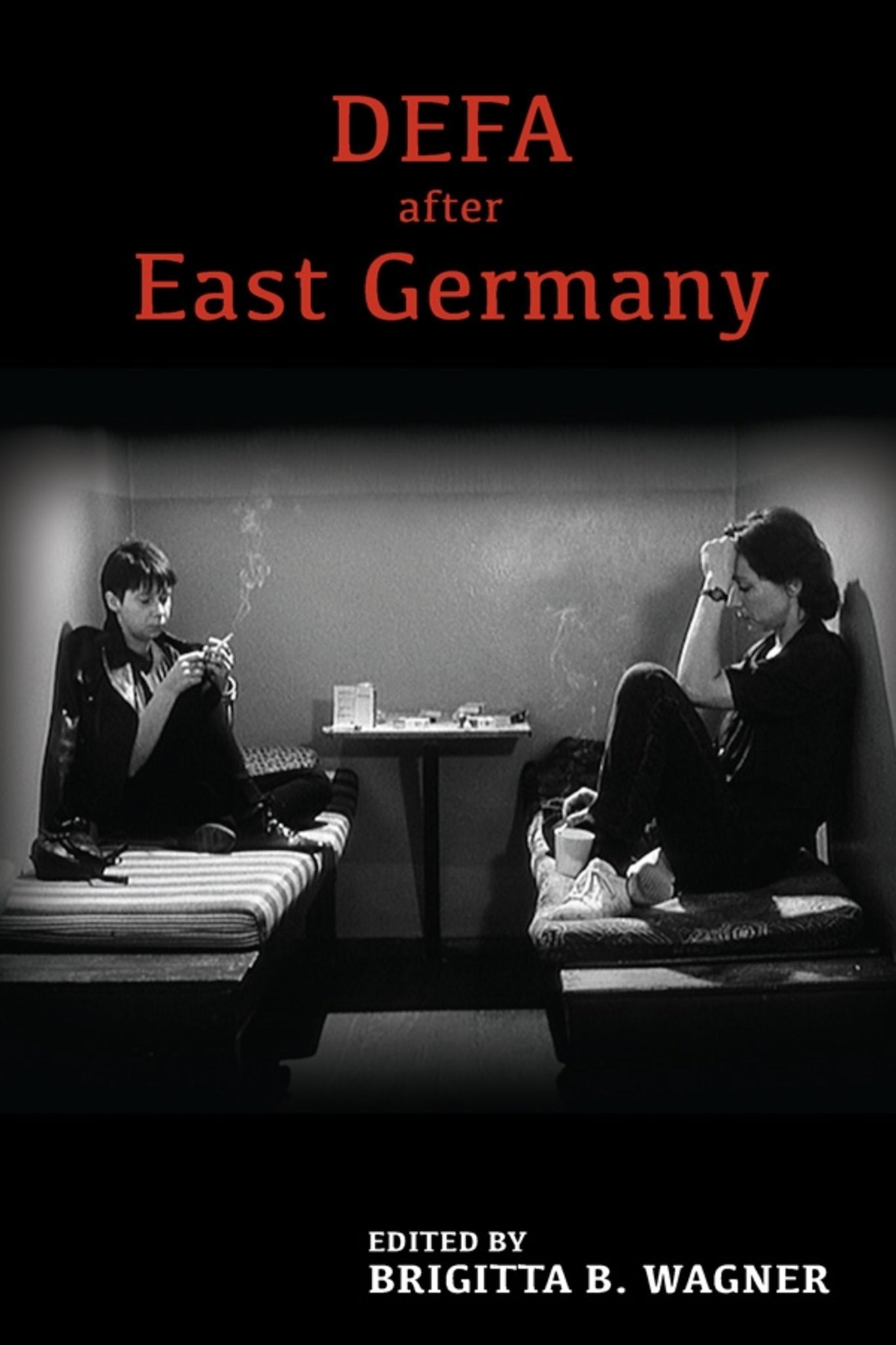 Cover image for DEFA after East Germany ISBN 9781571135827