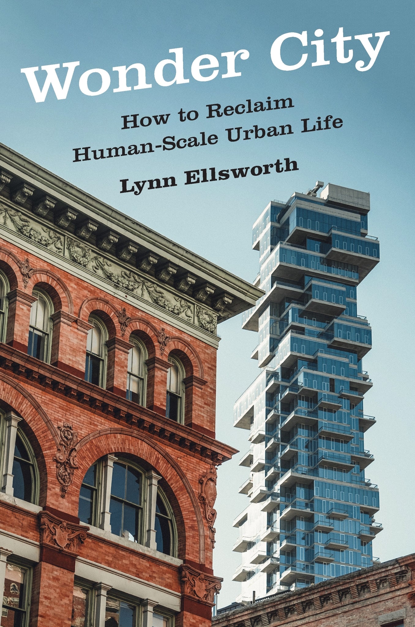 Cover image for Wonder City ISBN 9781531508180