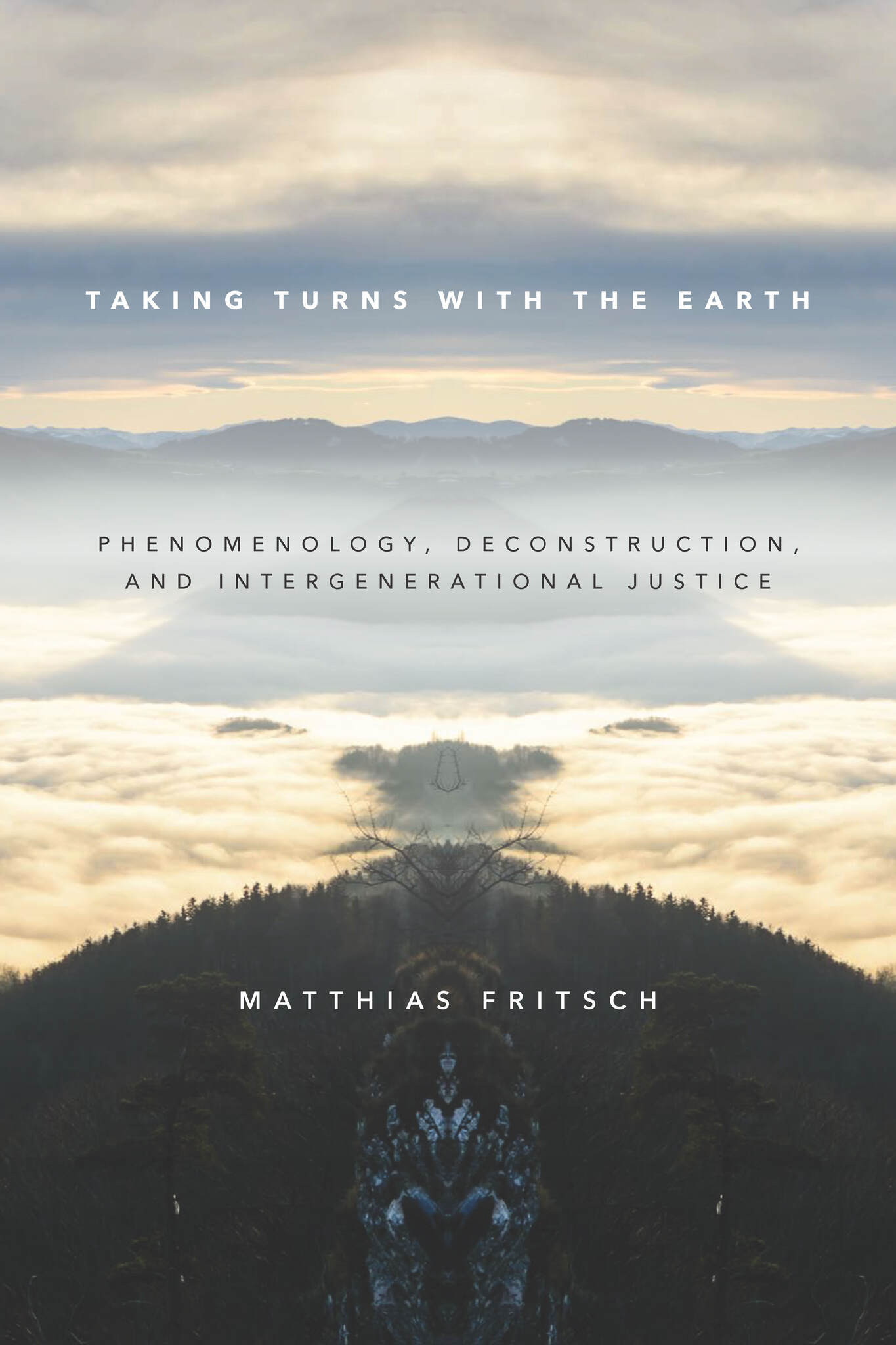 Cover image for Taking Turns with the Earth ISBN 9781503604940