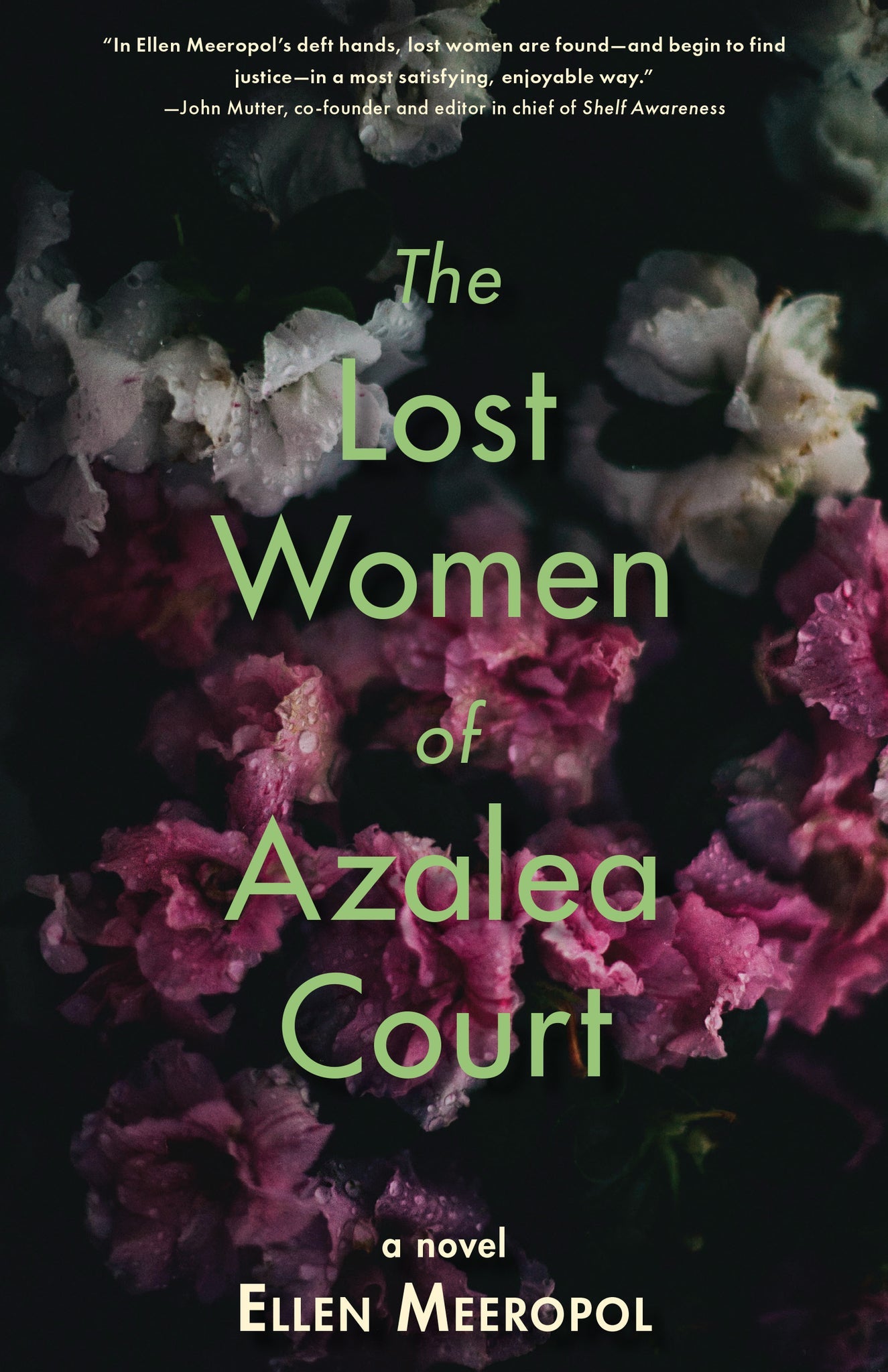 Cover image for The Lost Women of Azalea Court ISBN 9781636280509