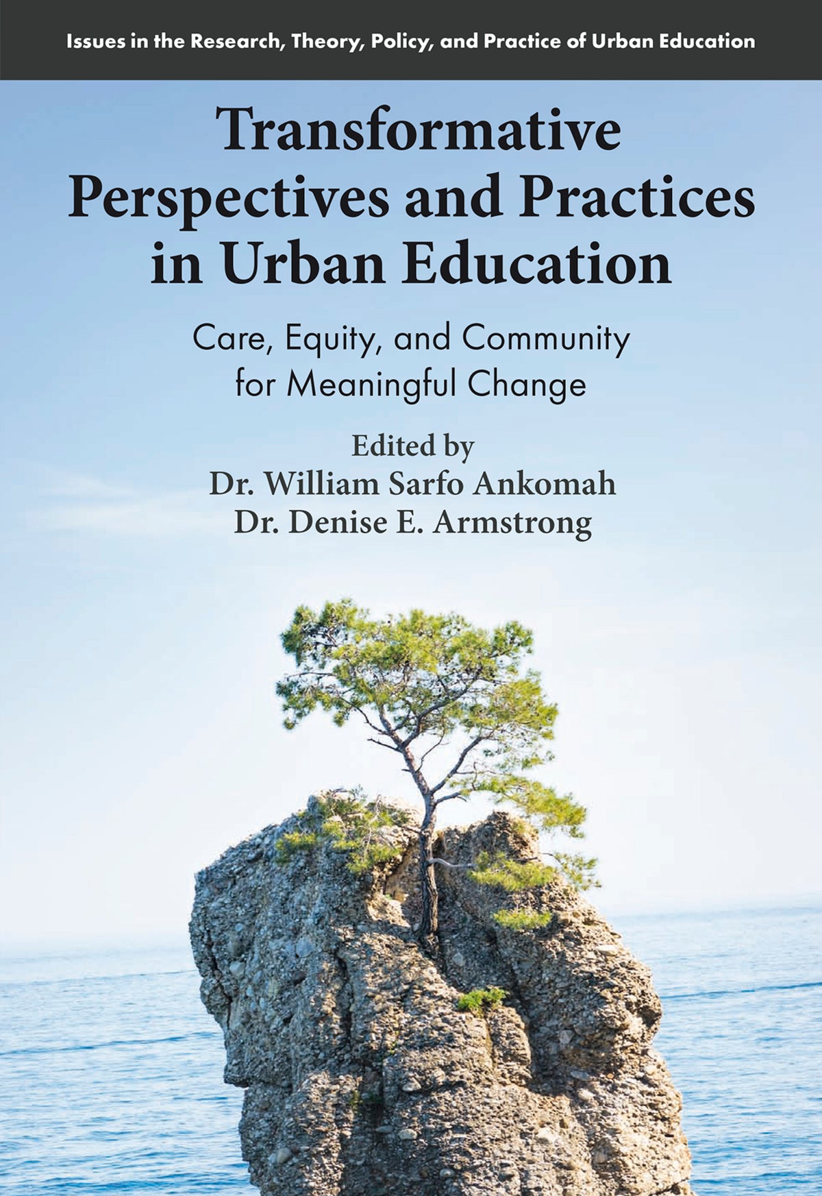 Cover image for Transformative Perspectives and Practices in Urban Education ISBN 9781806863068