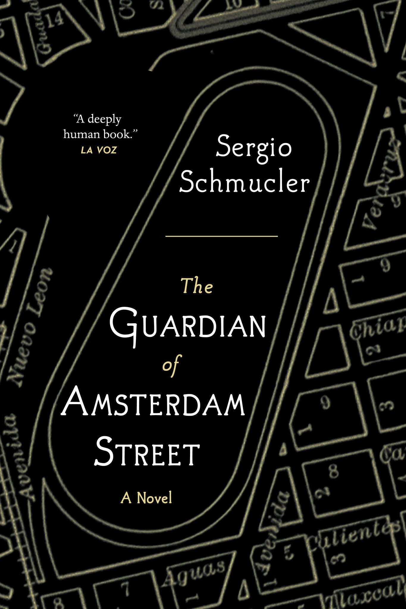 Cover image for The Guardian of Amsterdam Street ISBN 9781487008284