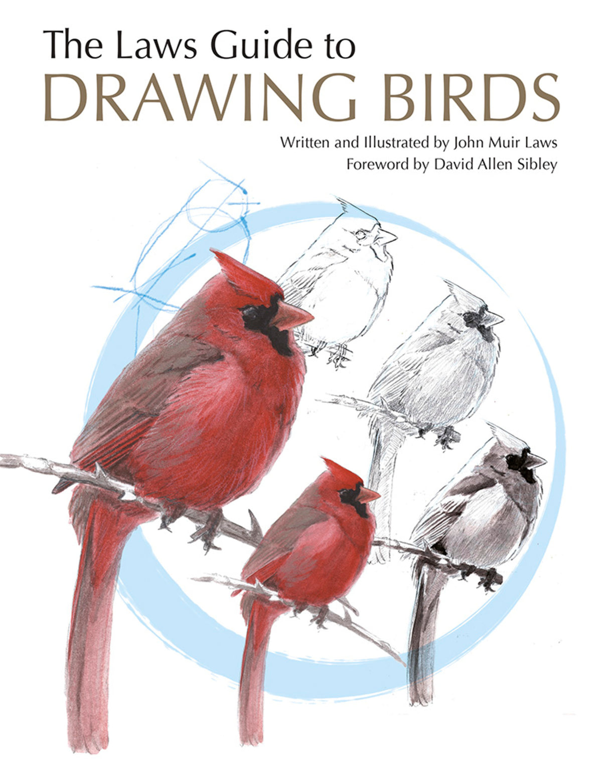 Cover image for The Laws Guide to Drawing Birds ISBN 9781597141956