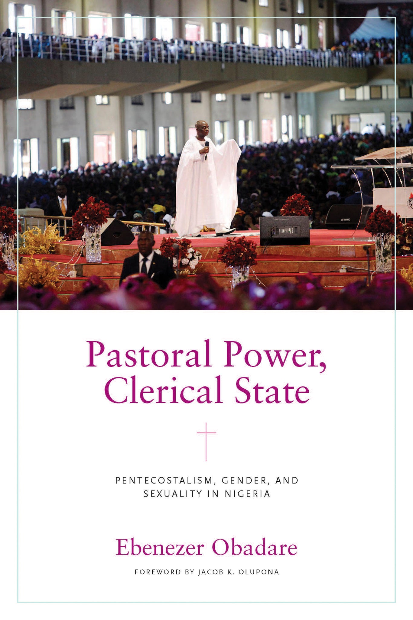 Cover image for Pastoral Power, Clerical State ISBN 9780268203146