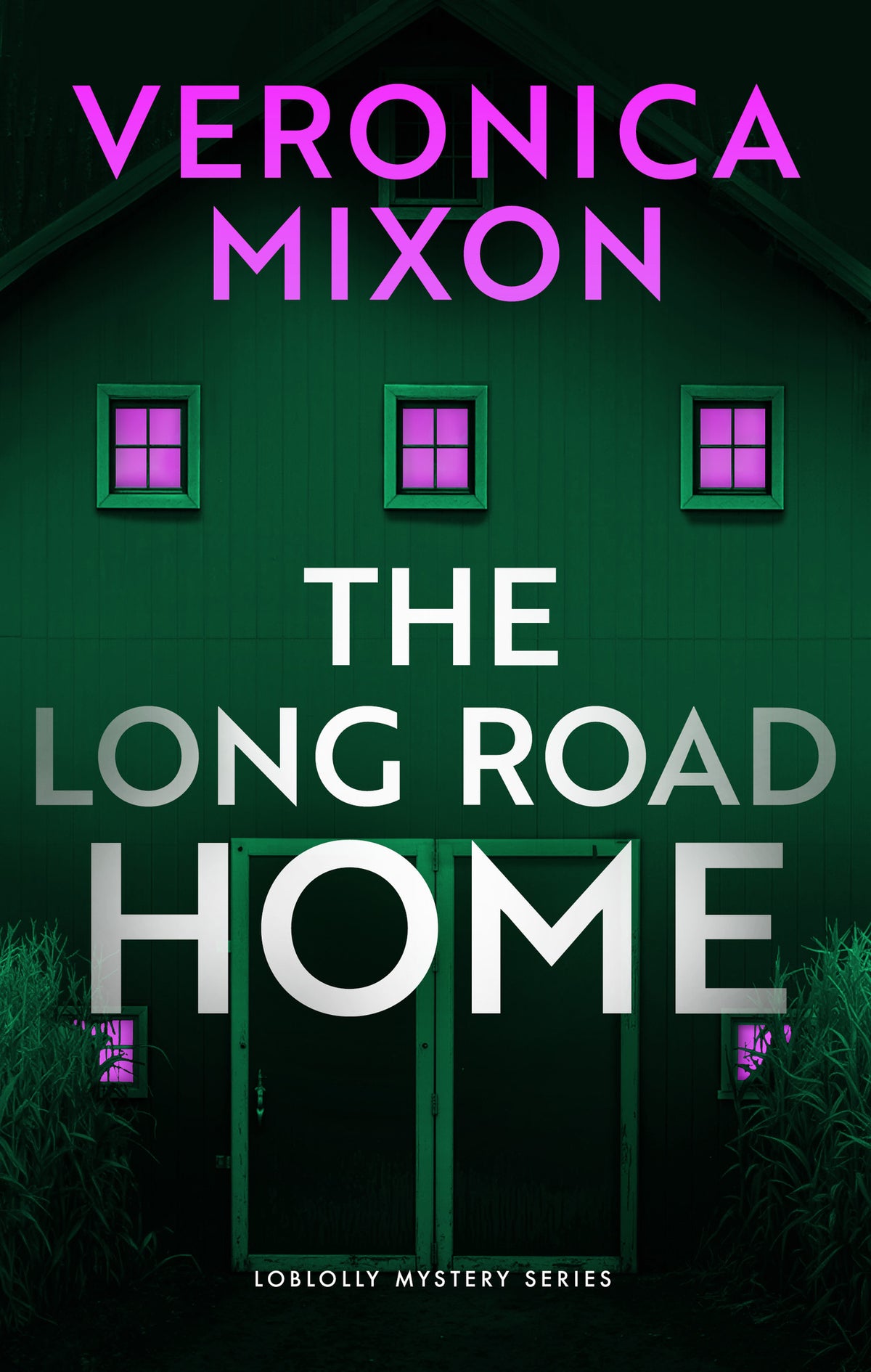 Cover image for The Long Road Home ISBN 9781036733711