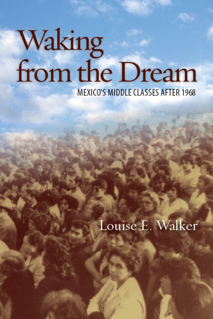 Cover image for Waking from the Dream ISBN 9780804781510