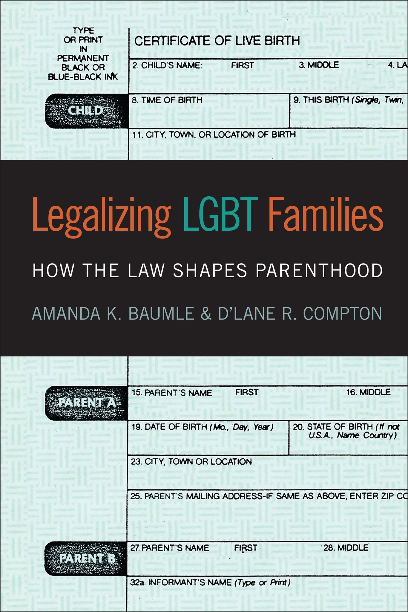 Cover image for Legalizing LGBT Families ISBN 9781479802005