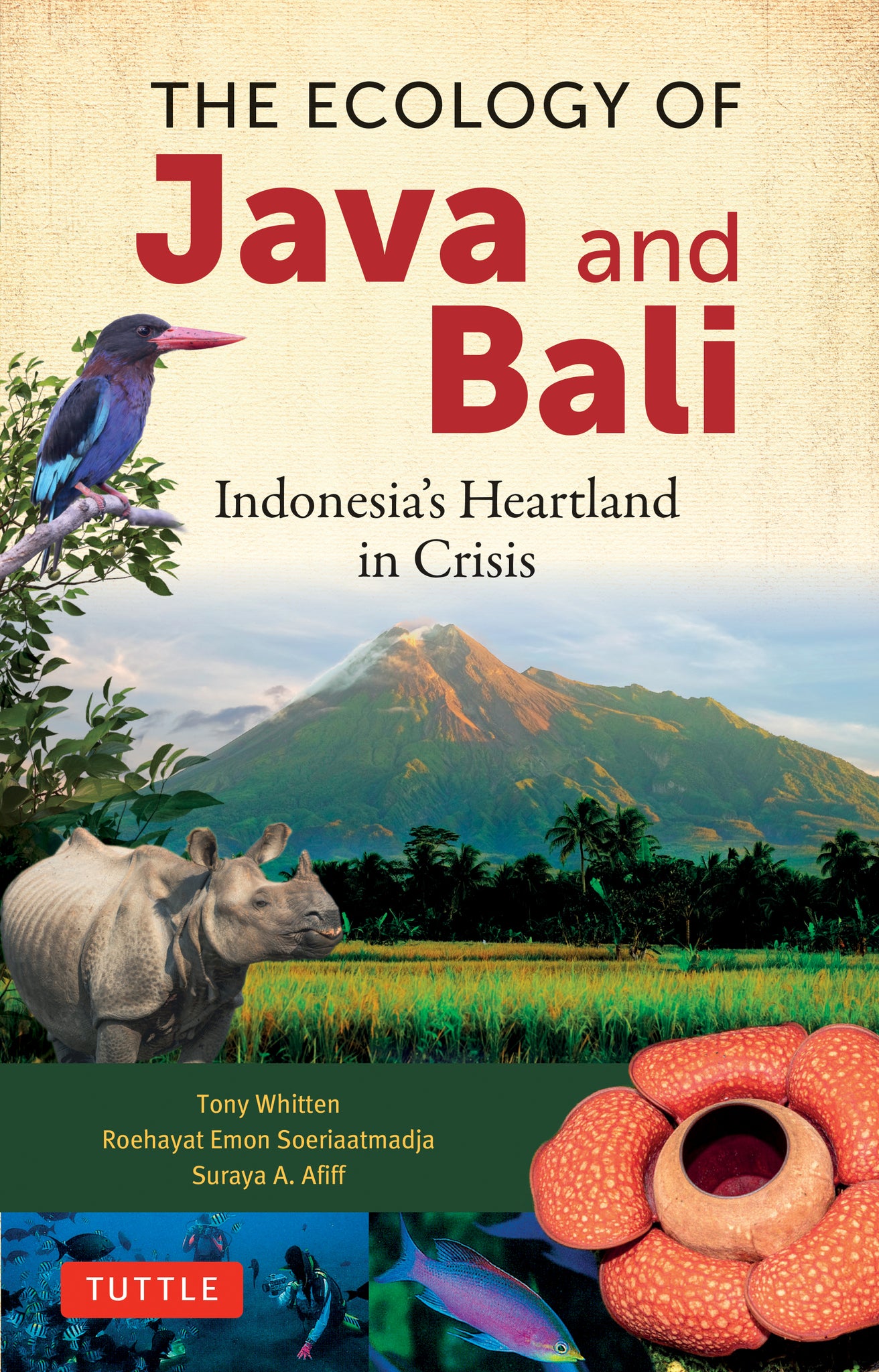 Cover image for The Ecology of Java & Bali ISBN 9780804860420