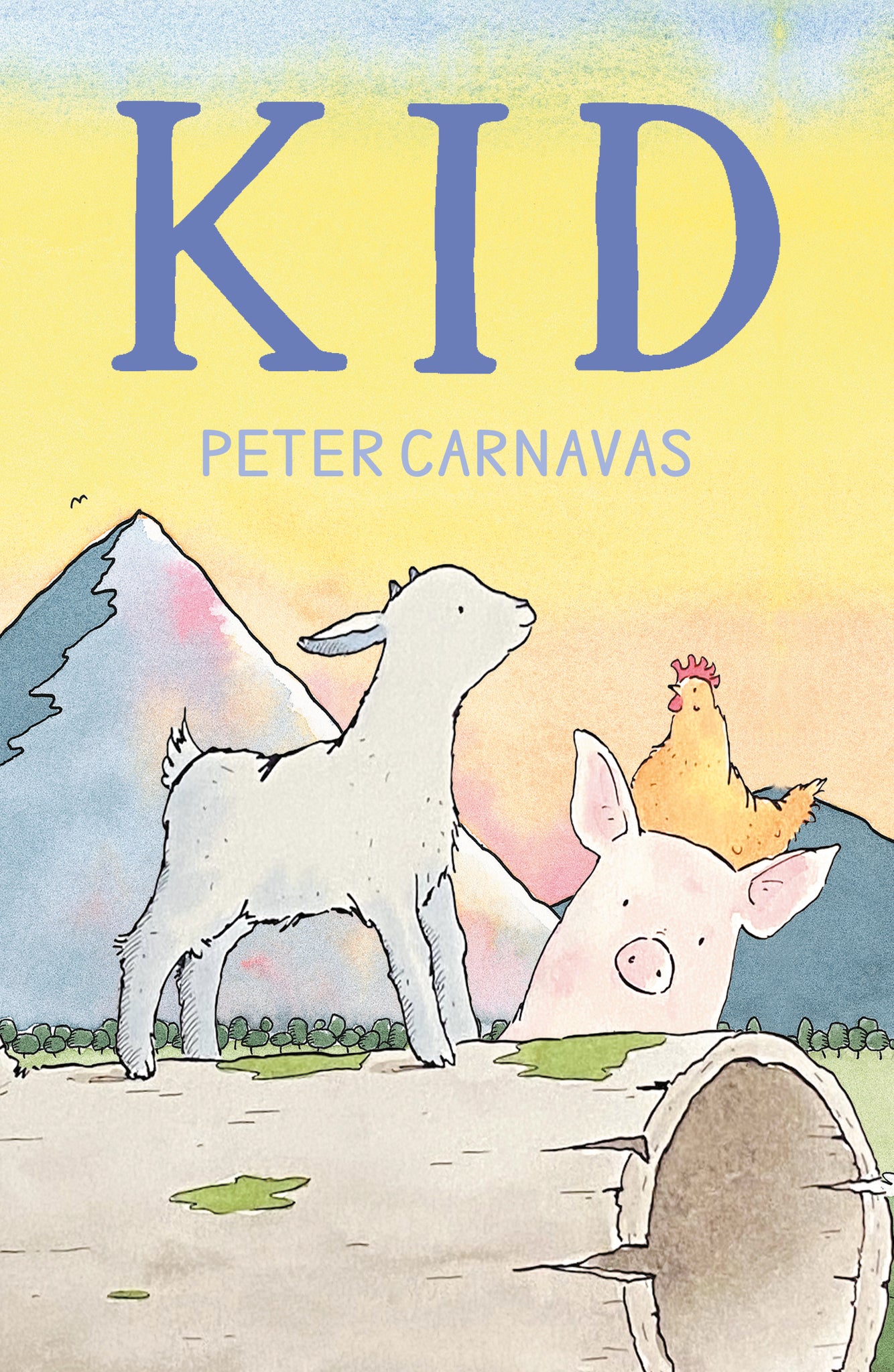 Cover image for Kid ISBN 9781779461865