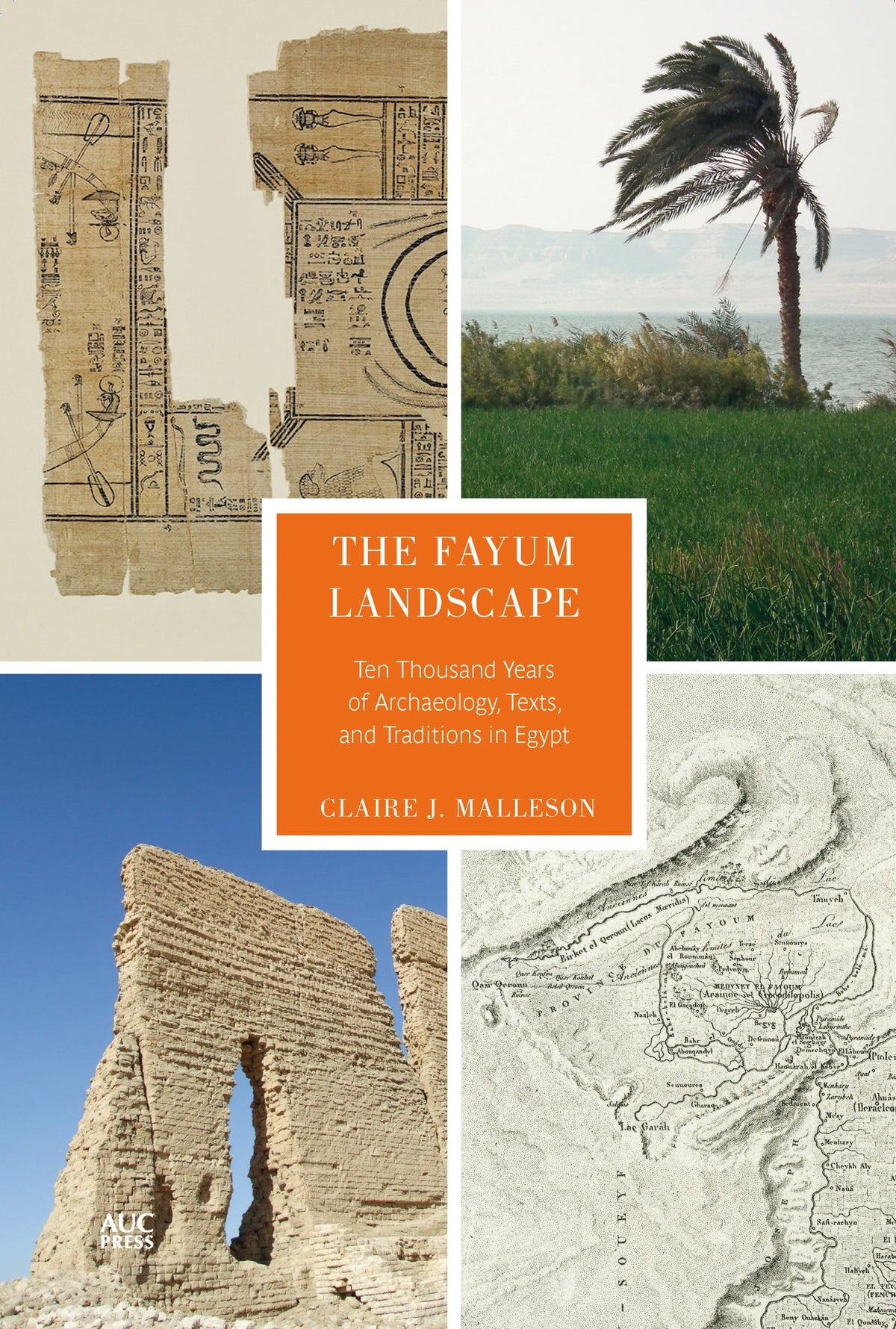 Cover image for The Fayum Landscape: ISBN 9781617979460