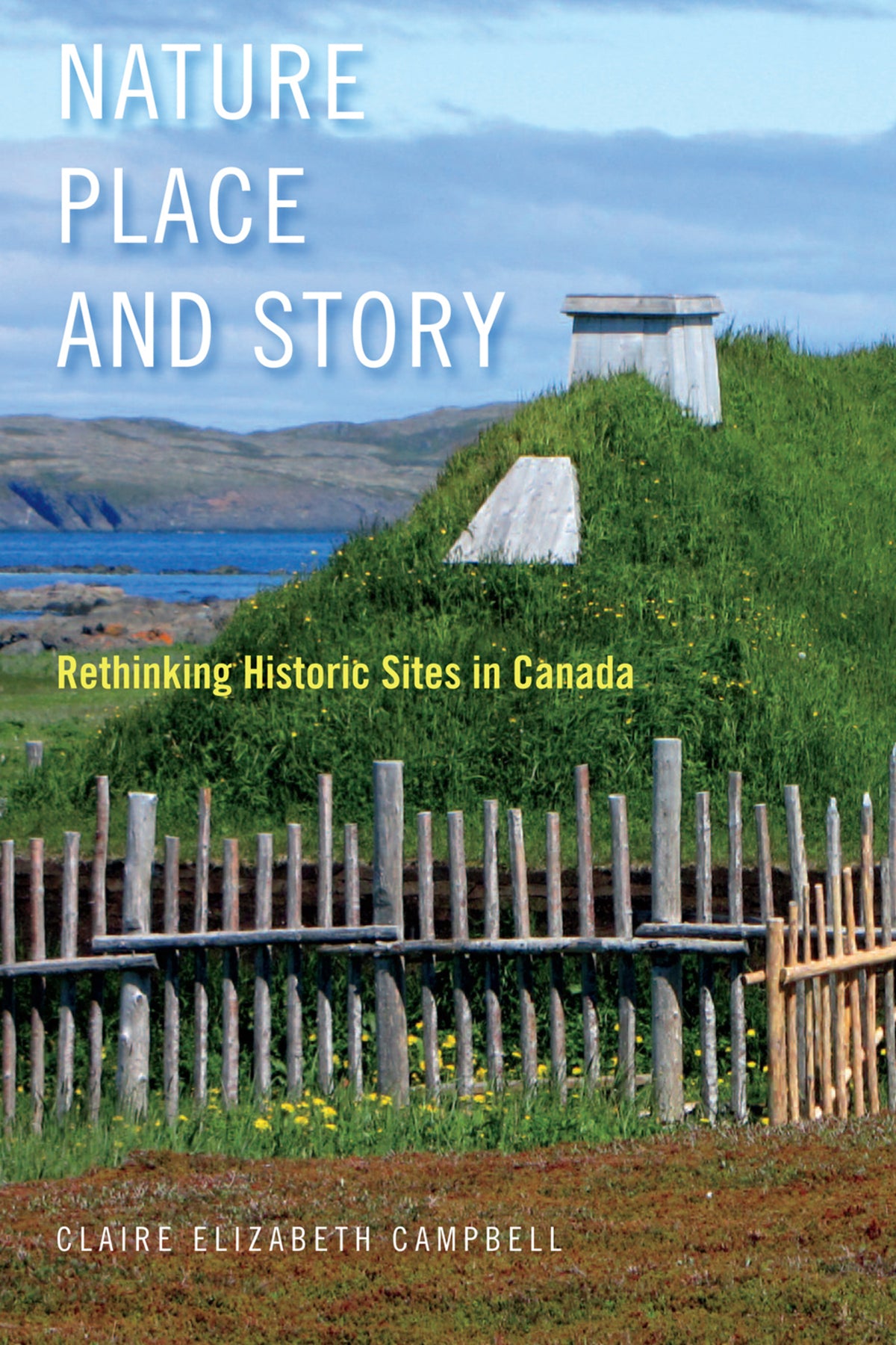 Cover image for Nature, Place, and Story ISBN 9780773551770