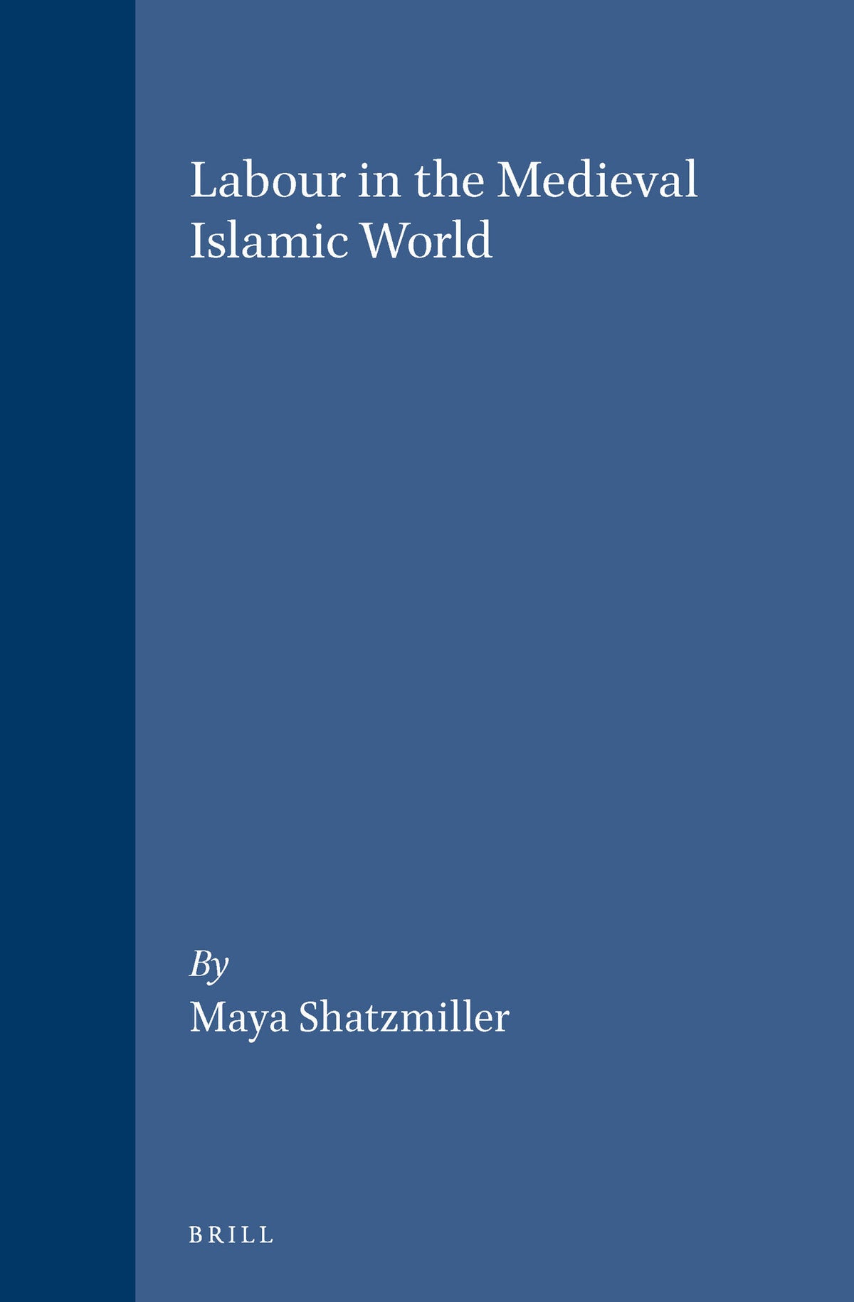 Cover image for Labour in the Medieval Islamic World ISBN 9789004098961