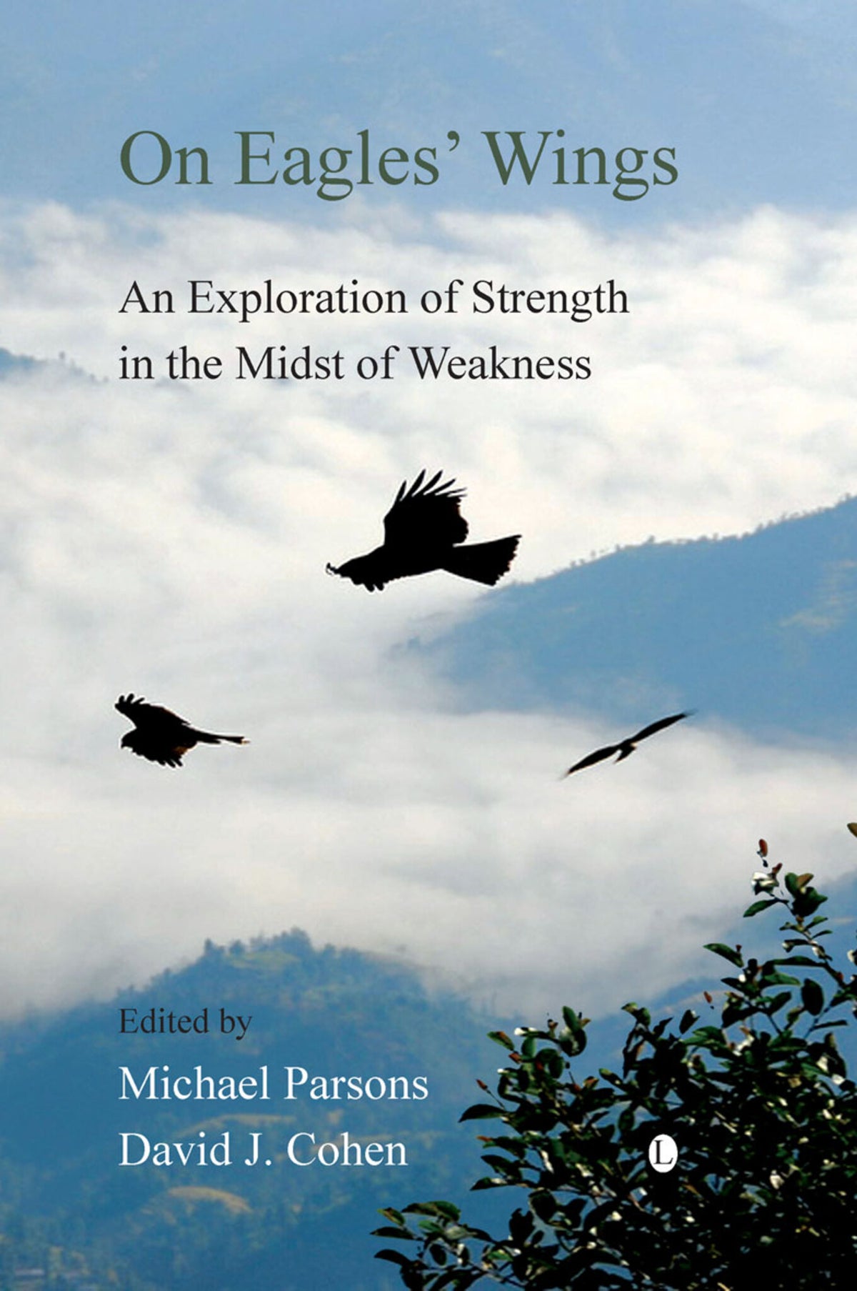Cover image for On Eagles' Wings ISBN 9780718891954