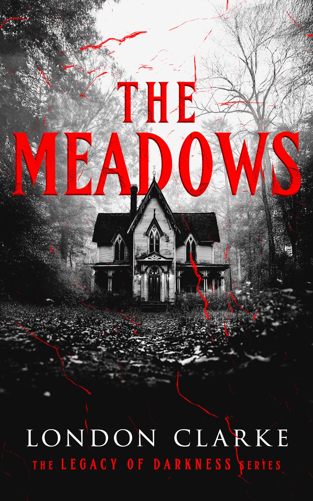 Cover image for The Meadows ISBN 9781036711030