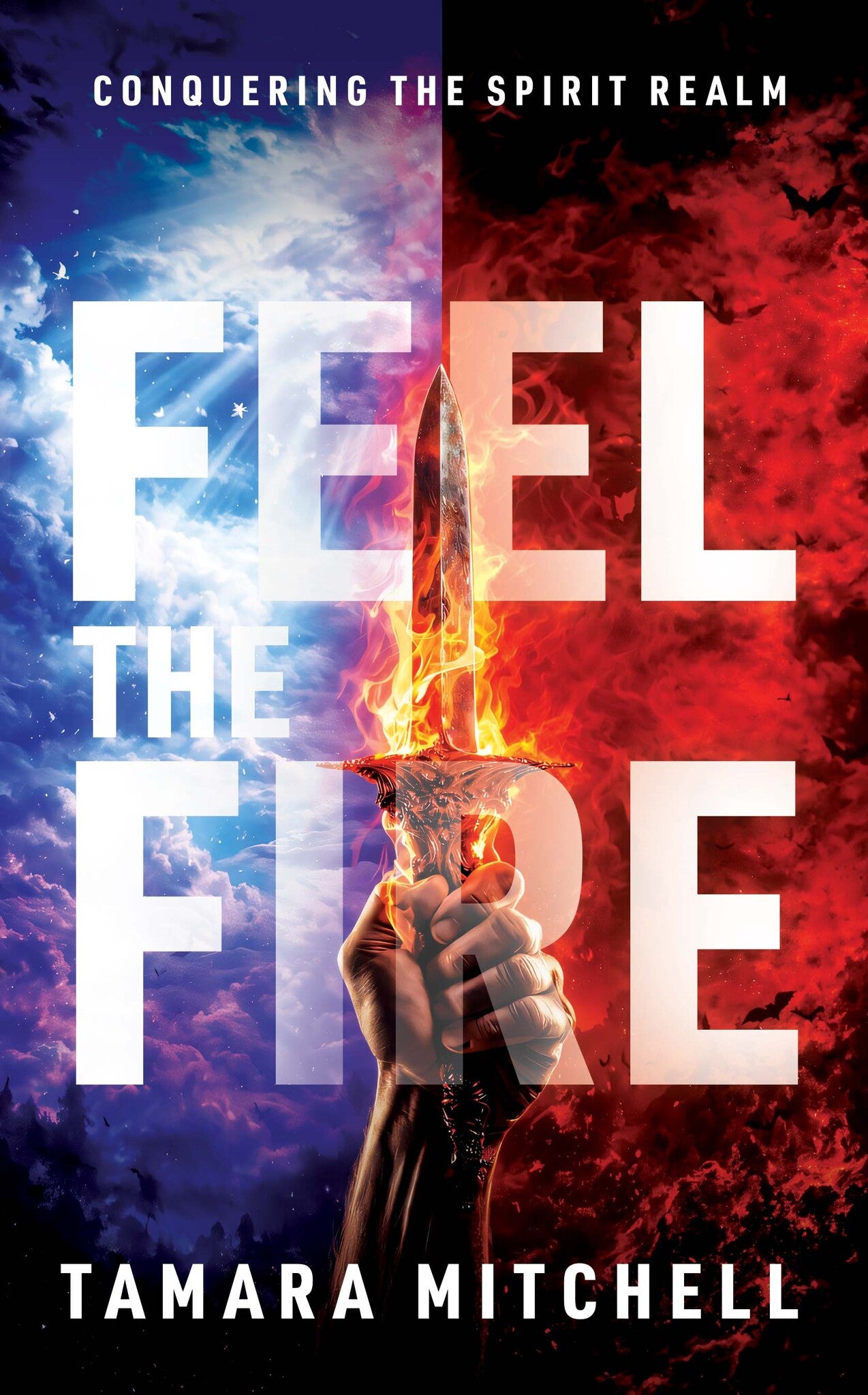 Cover image for Feel the Fire ISBN 9798895740071