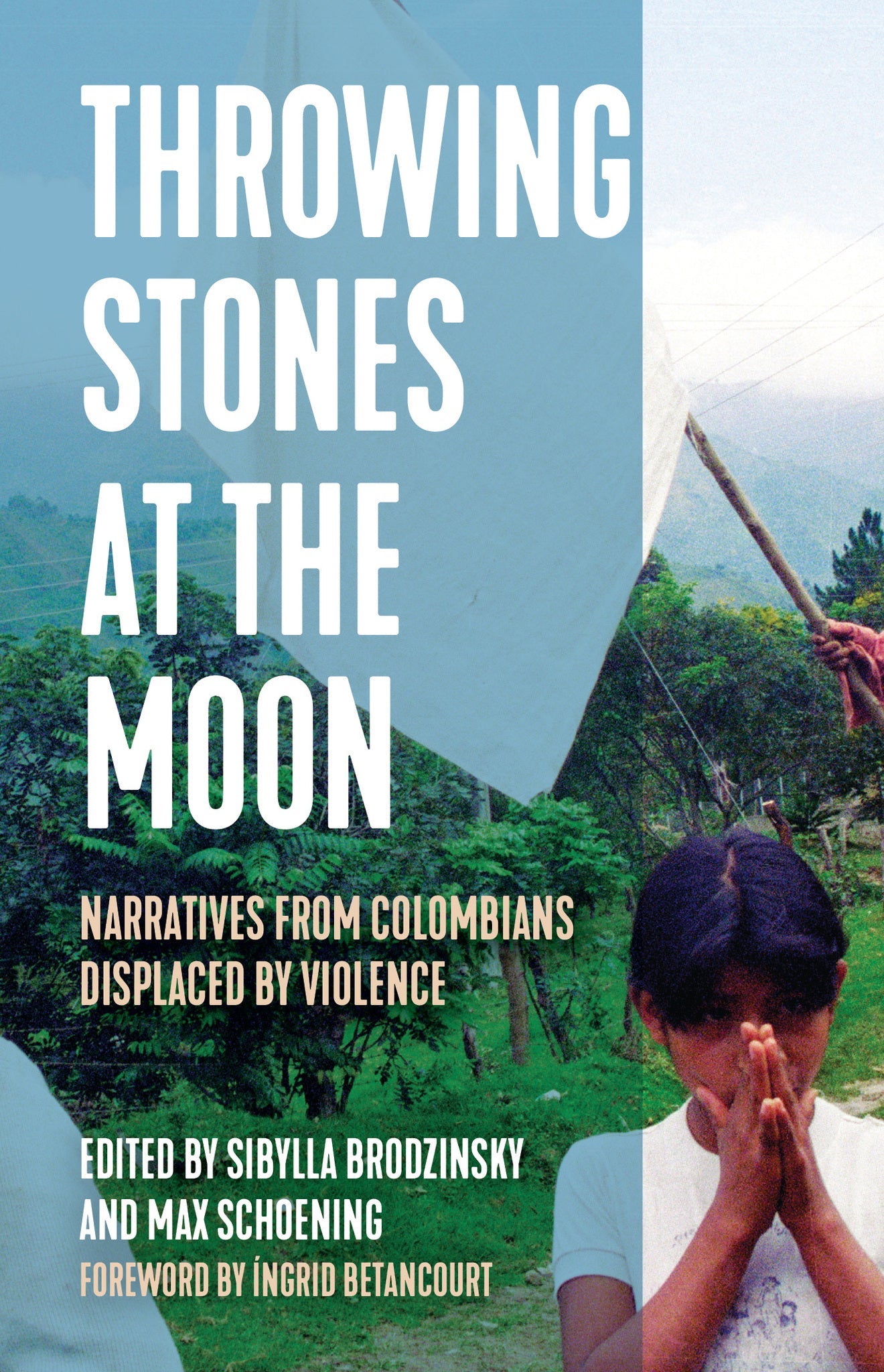 Cover image for Throwing Stones at the Moon ISBN 9781642595611