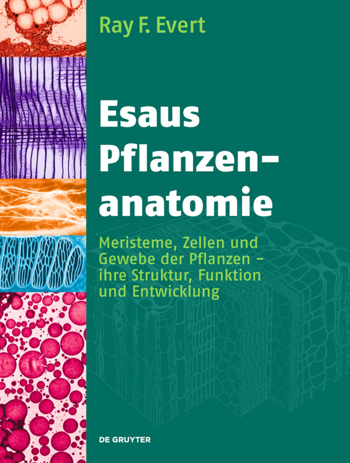 Cover image for Esaus Pflanzenanatomie ISBN 9783110205923