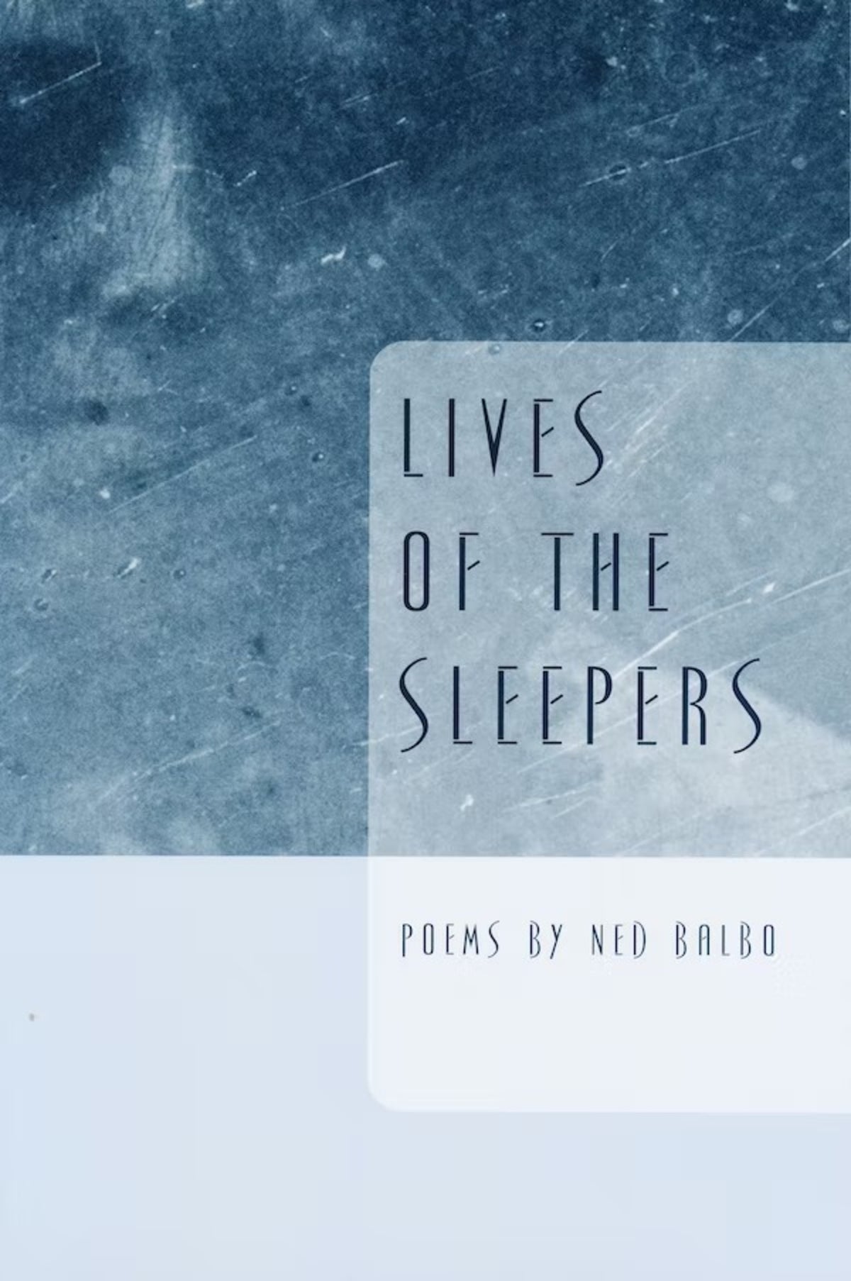 Cover image for Lives of the Sleepers ISBN 9780268021849