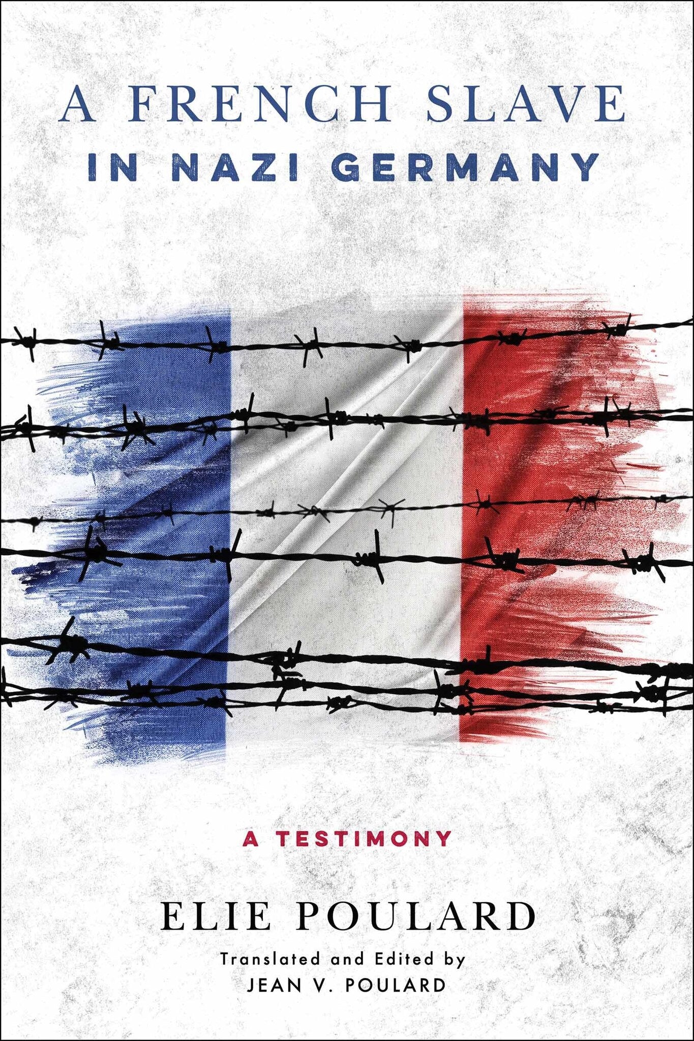 Cover image for A French Slave in Nazi Germany ISBN 9780268100797